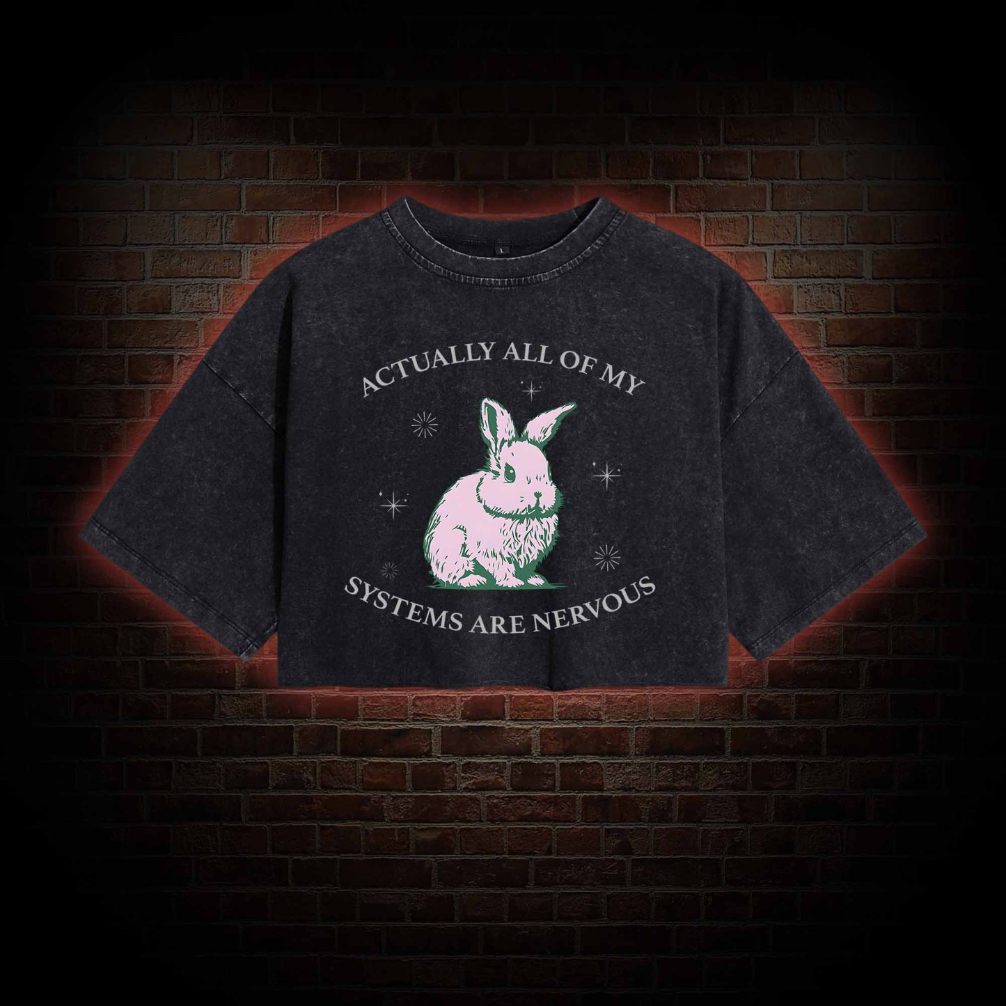 Actually All Of My Systems Are Nervous Washed Cropped T-shirts