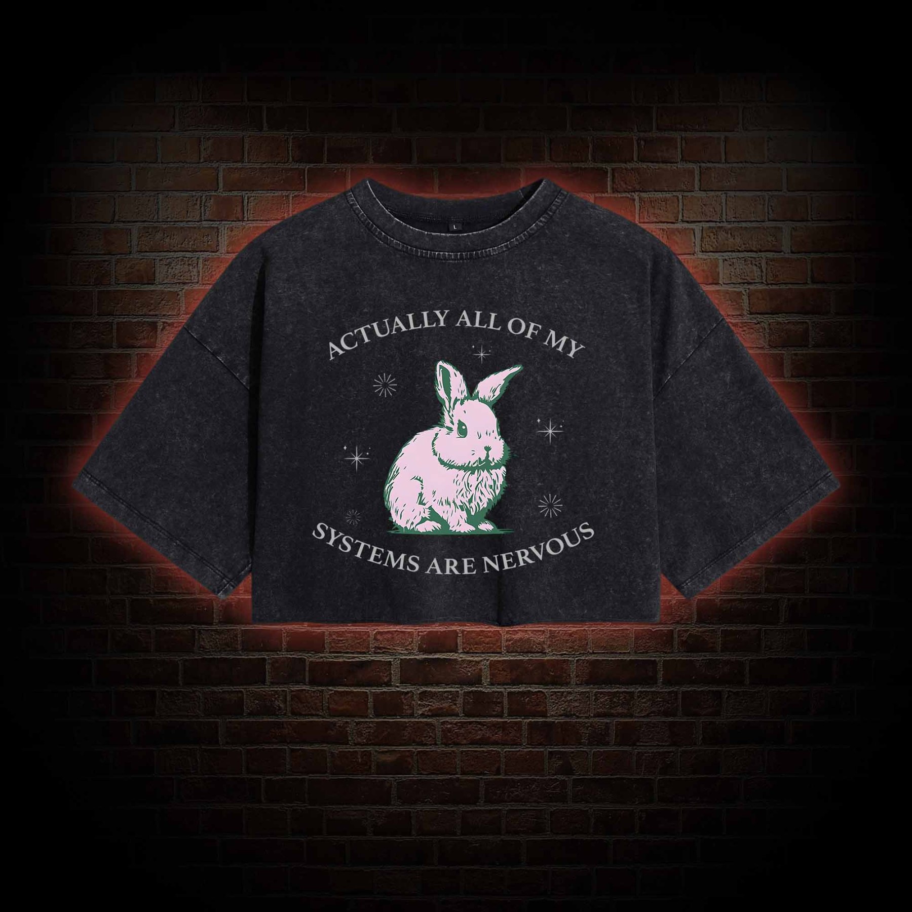 Actually All Of My Systems Are Nervous Washed Cropped T-shirts