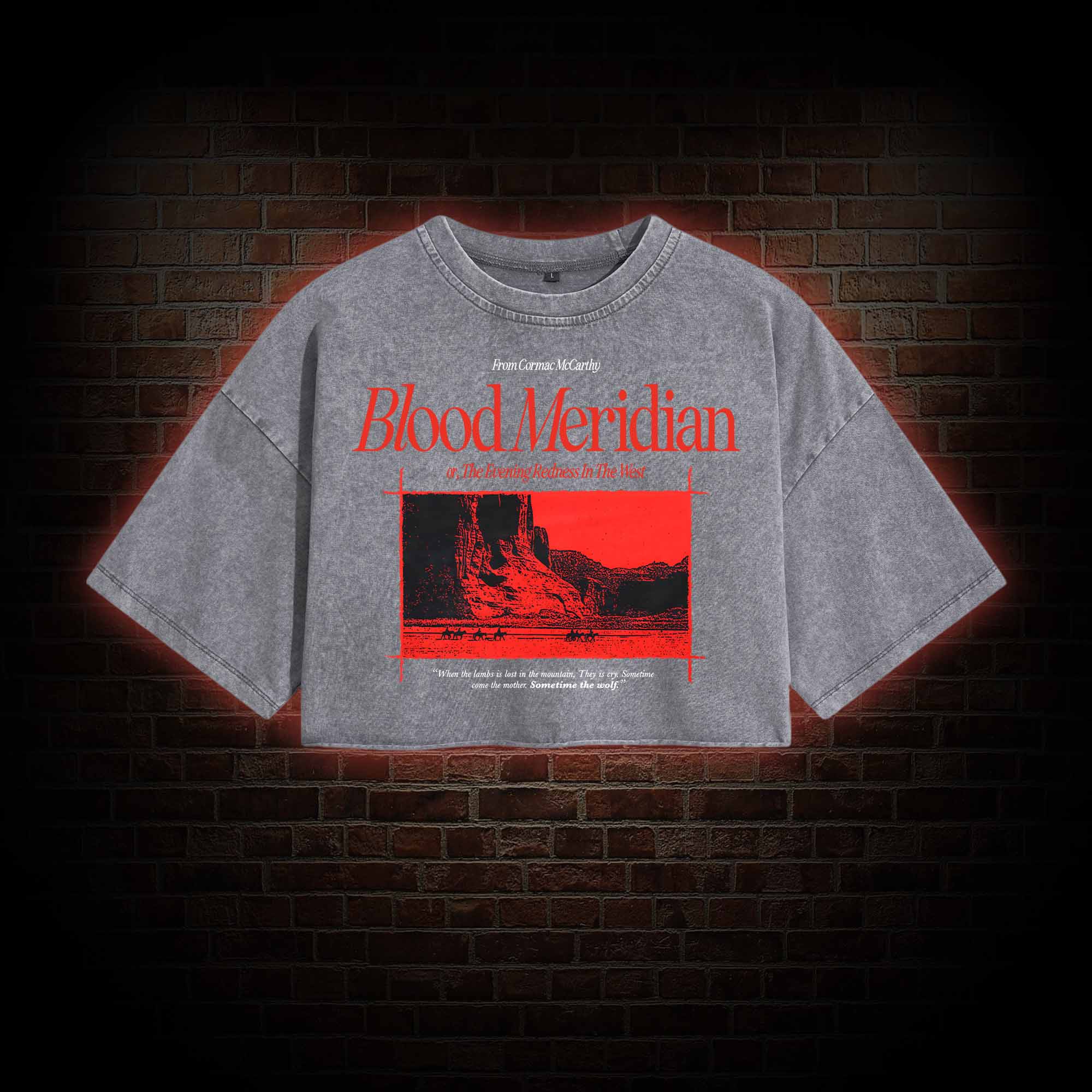 Blood Meridian Washed Cropped T-shirts