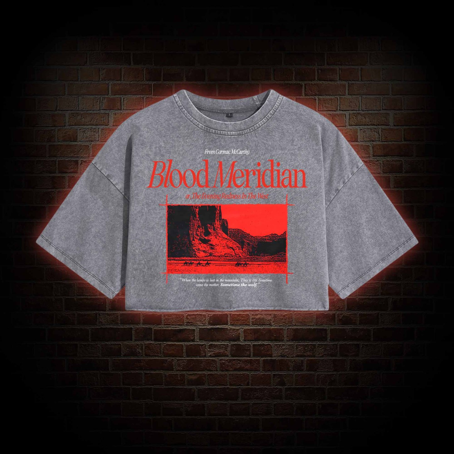 Blood Meridian Washed Cropped T-shirts