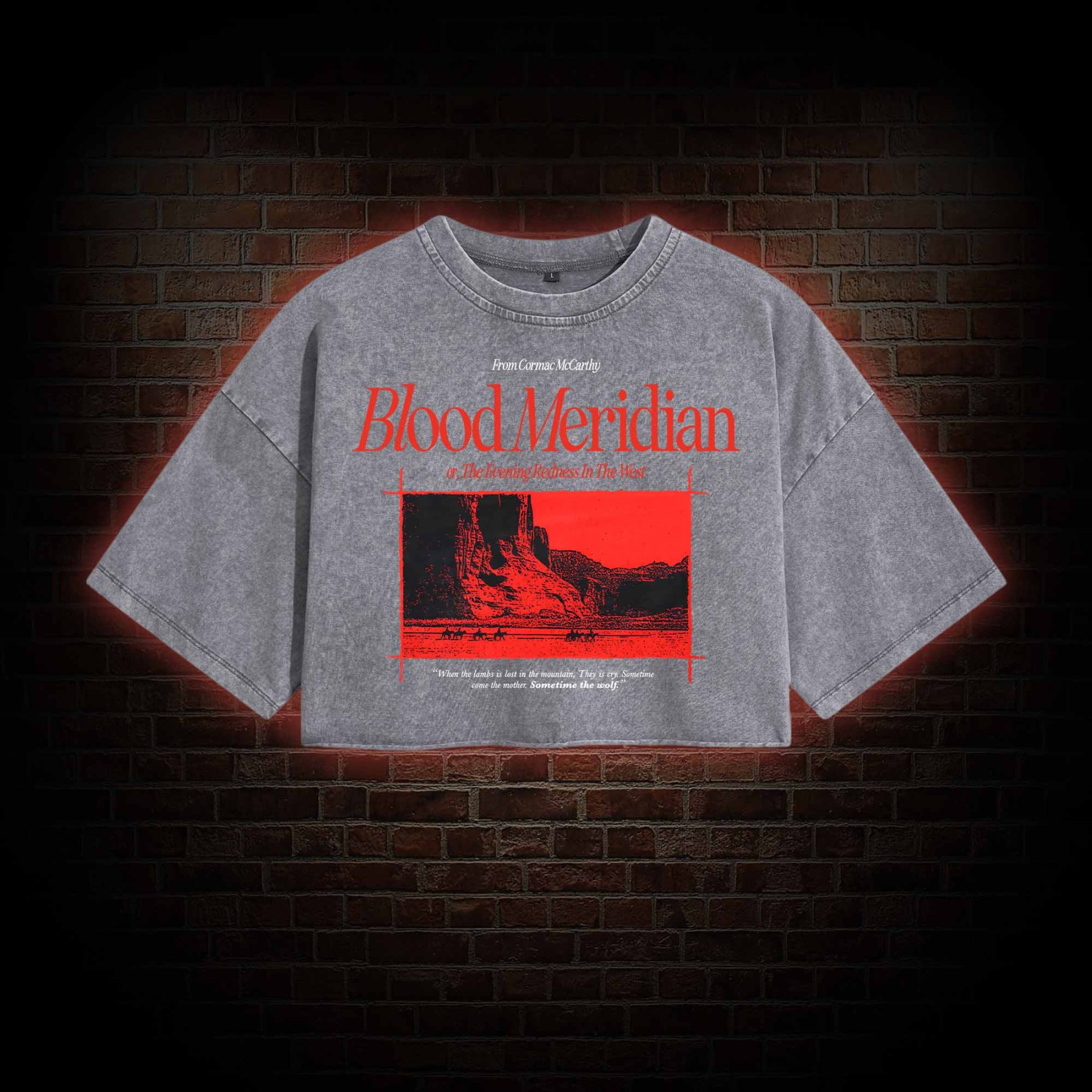 Blood Meridian Washed Cropped T-shirts