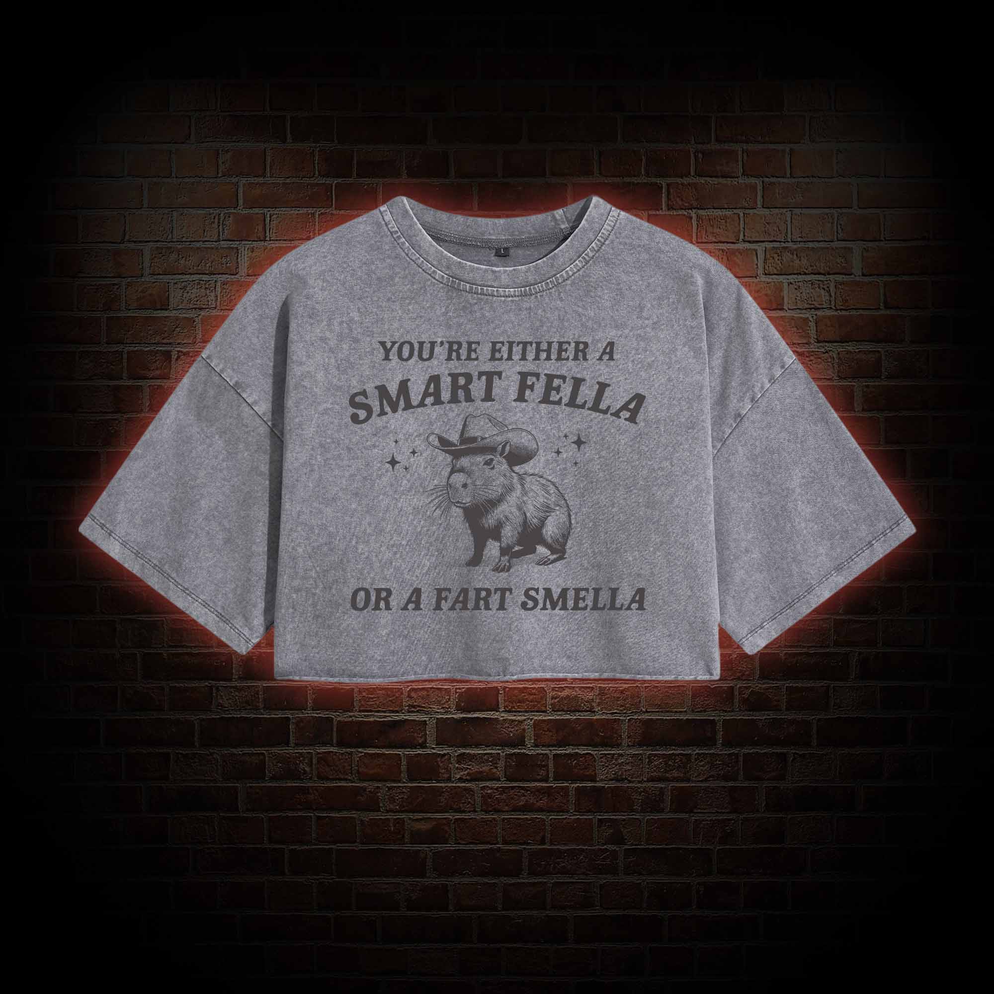 Smart Fella Or Fart Smella Crop Top