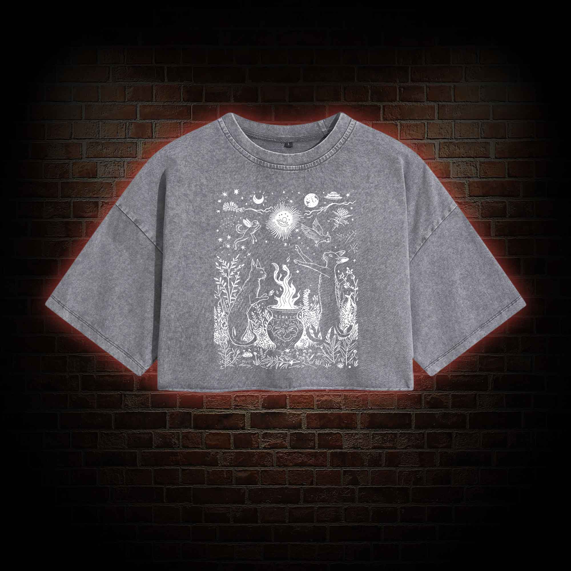 Celestial Cat Washed Cropped T-shirts