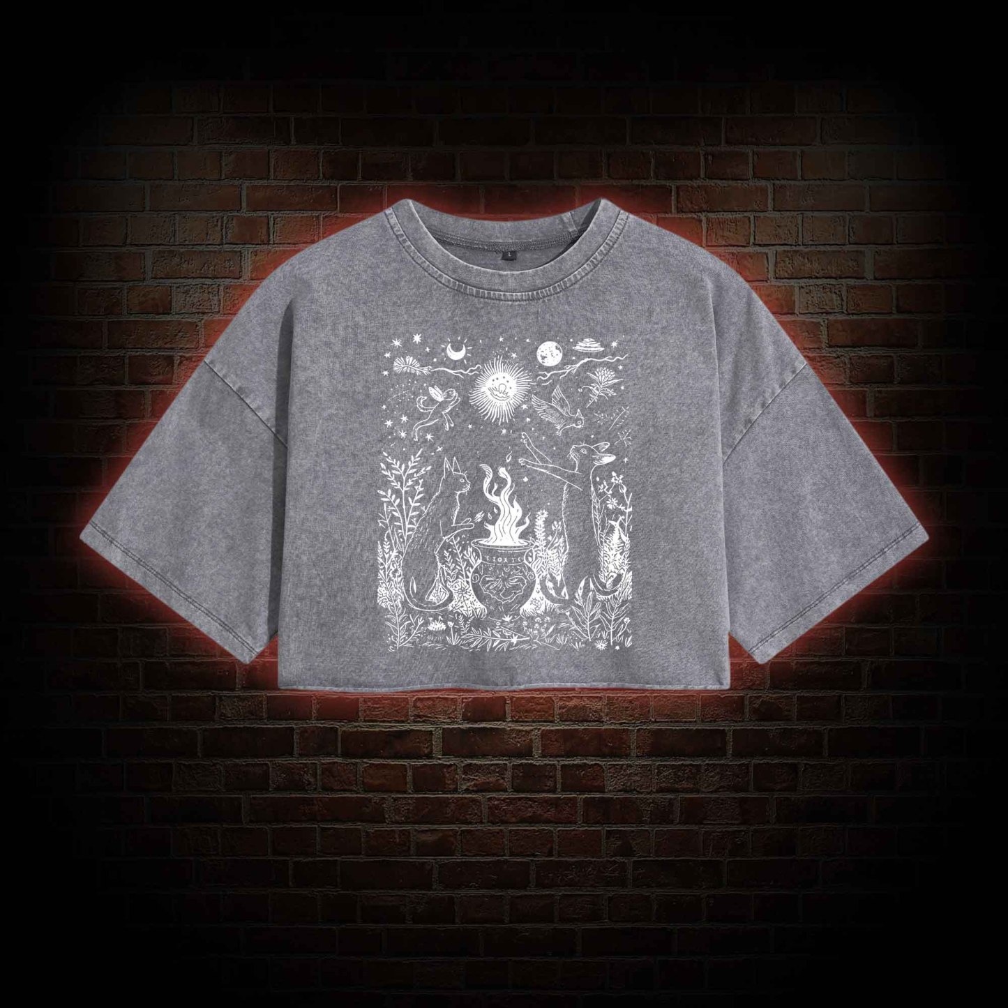 Celestial Cat Washed Cropped T-shirts