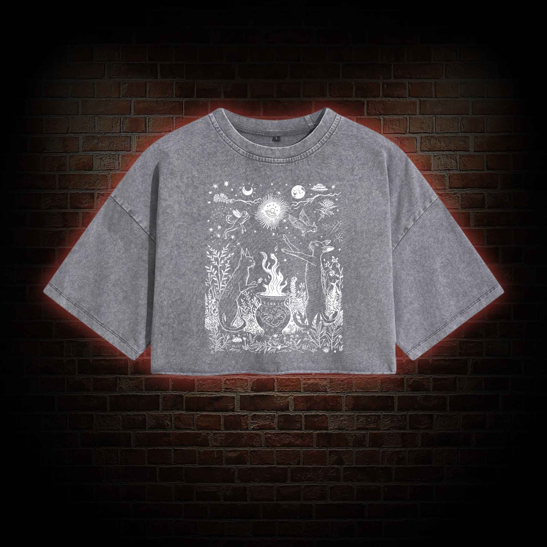 Celestial Cat Washed Cropped T-shirts