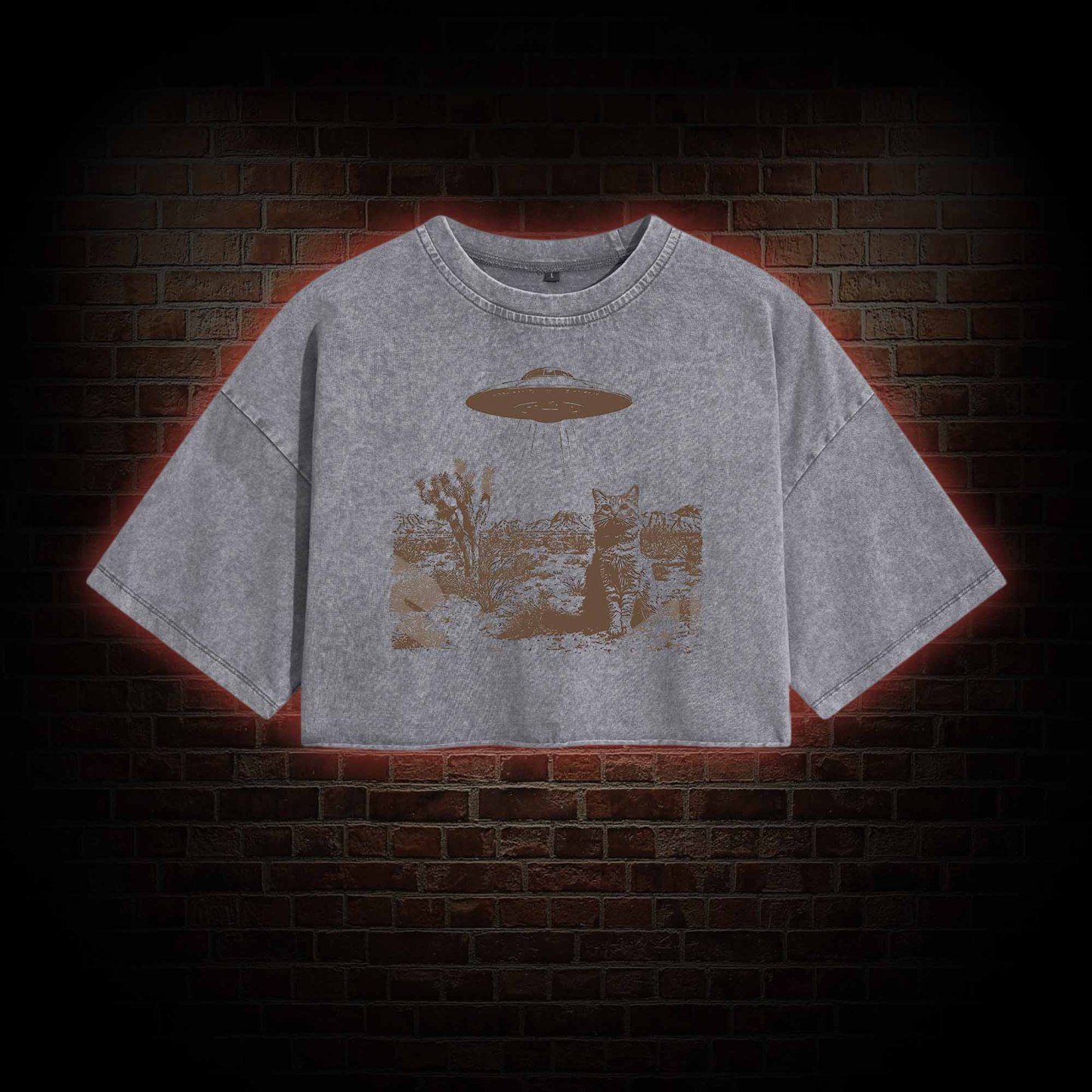 Ufo Cowboy Cat Washed Cropped T-shirts