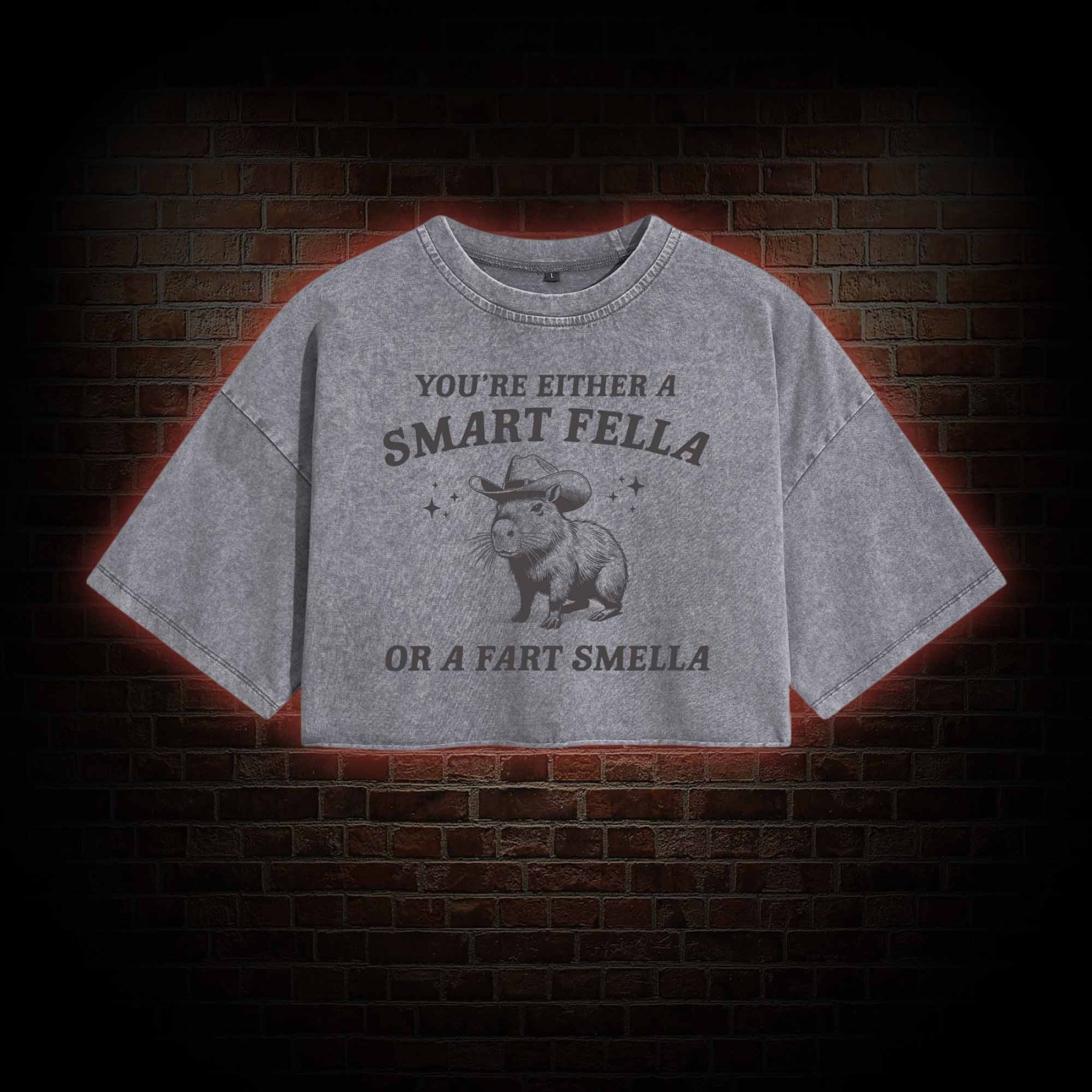 Smart Fella Or Fart Smella Crop Top
