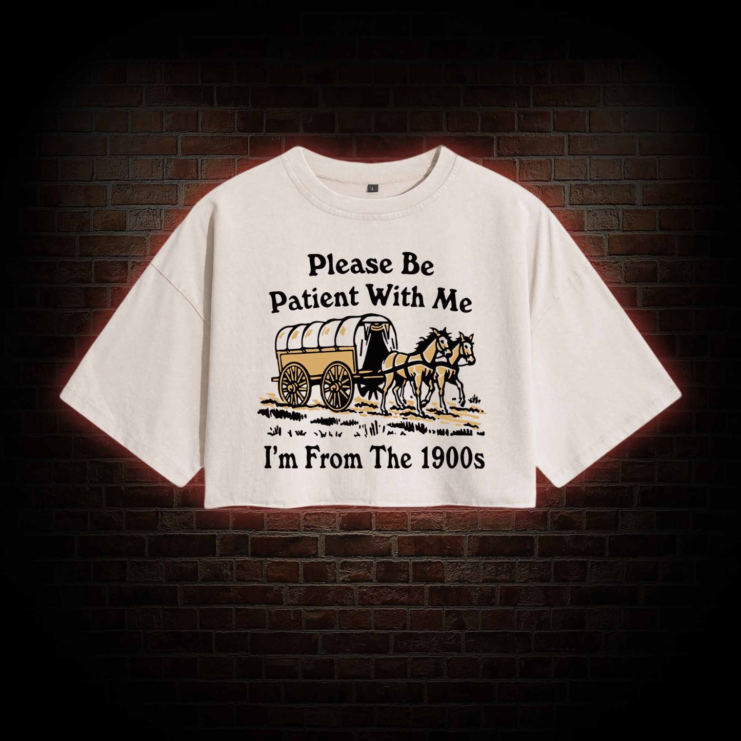 Please Be Patient With Me Washed Cropped T-shirts