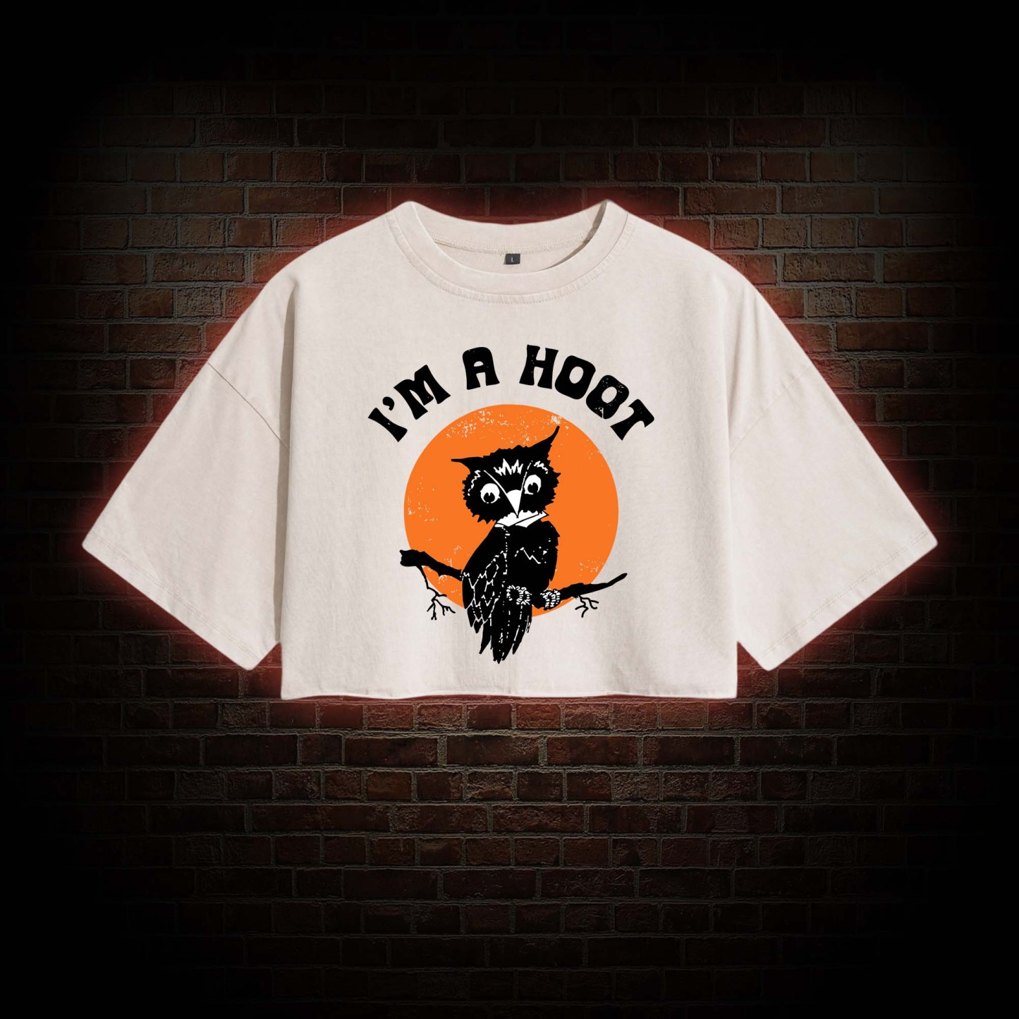 I'm A Hoot Washed Cropped T-shirts