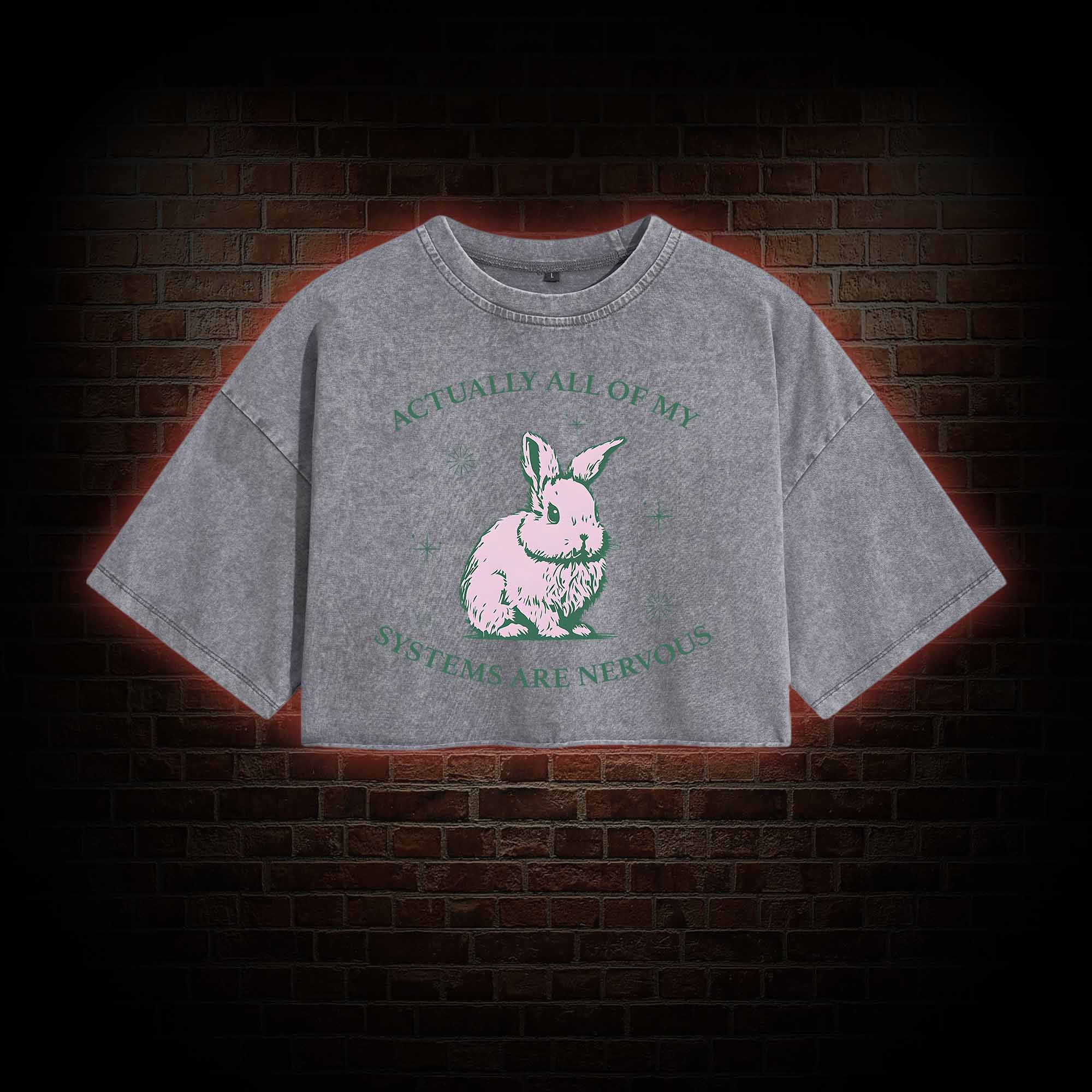 Actually All Of My Systems Are Nervous Washed Cropped T-shirts