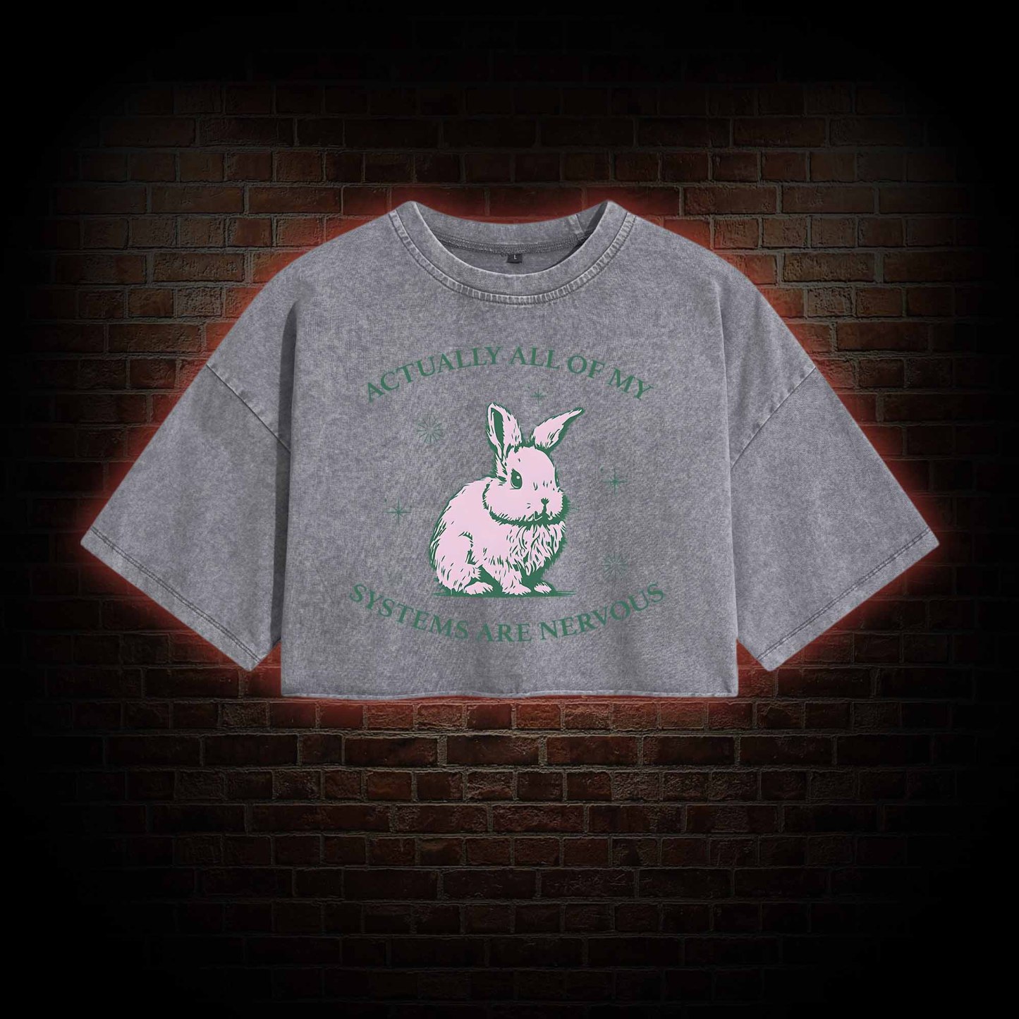 Actually All Of My Systems Are Nervous Washed Cropped T-shirts