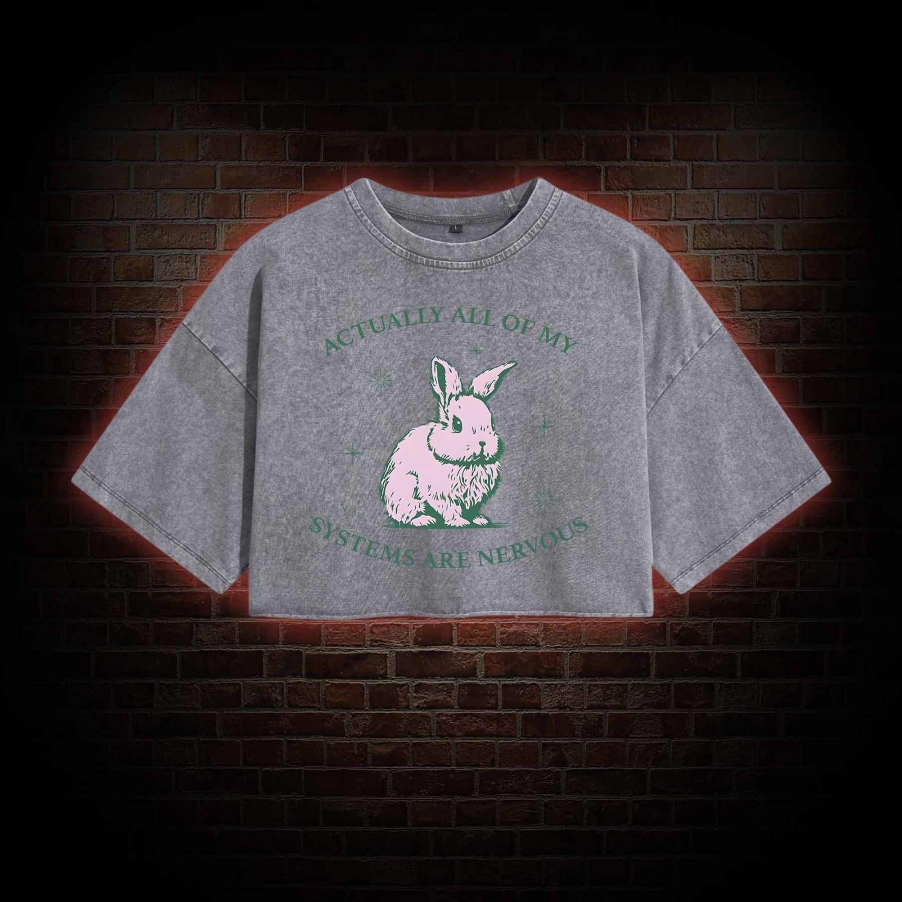 Actually All Of My Systems Are Nervous Washed Cropped T-shirts