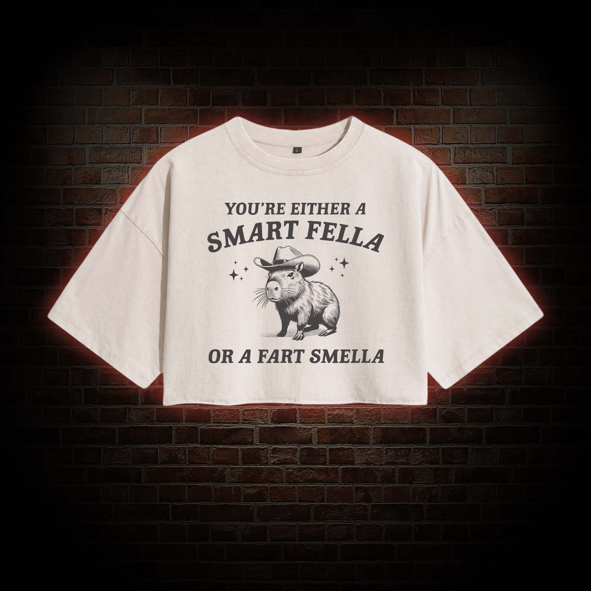 Smart Fella Or Fart Smella Crop Top