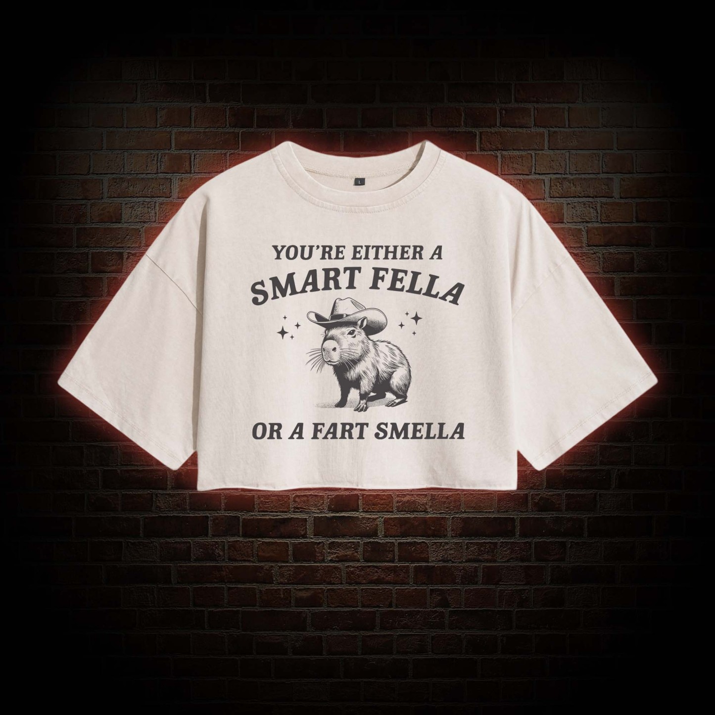 Smart Fella Or Fart Smella Crop Top