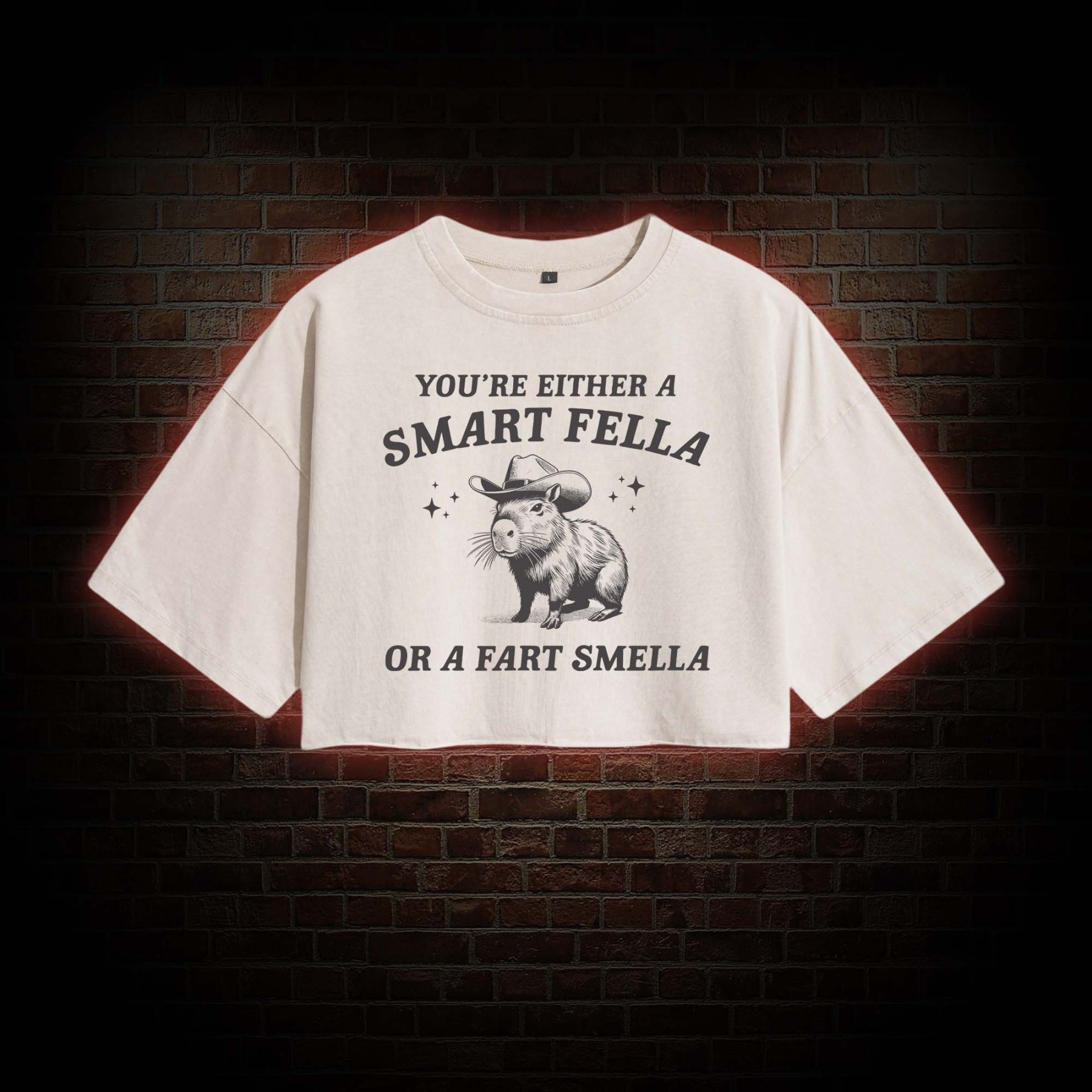Smart Fella Or Fart Smella Crop Top