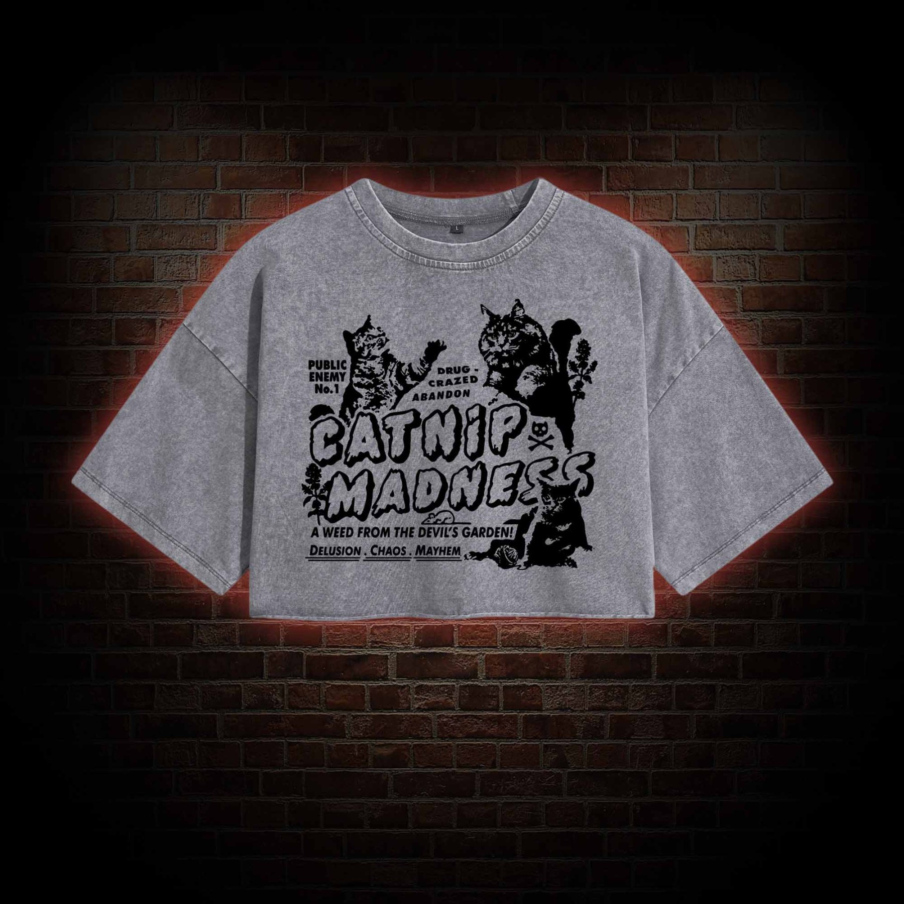 Catnip Madness Washed Cropped T-shirts