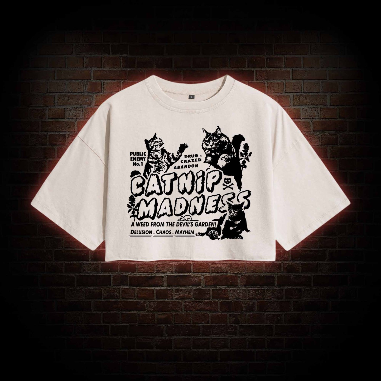 Catnip Madness Washed Cropped T-shirts