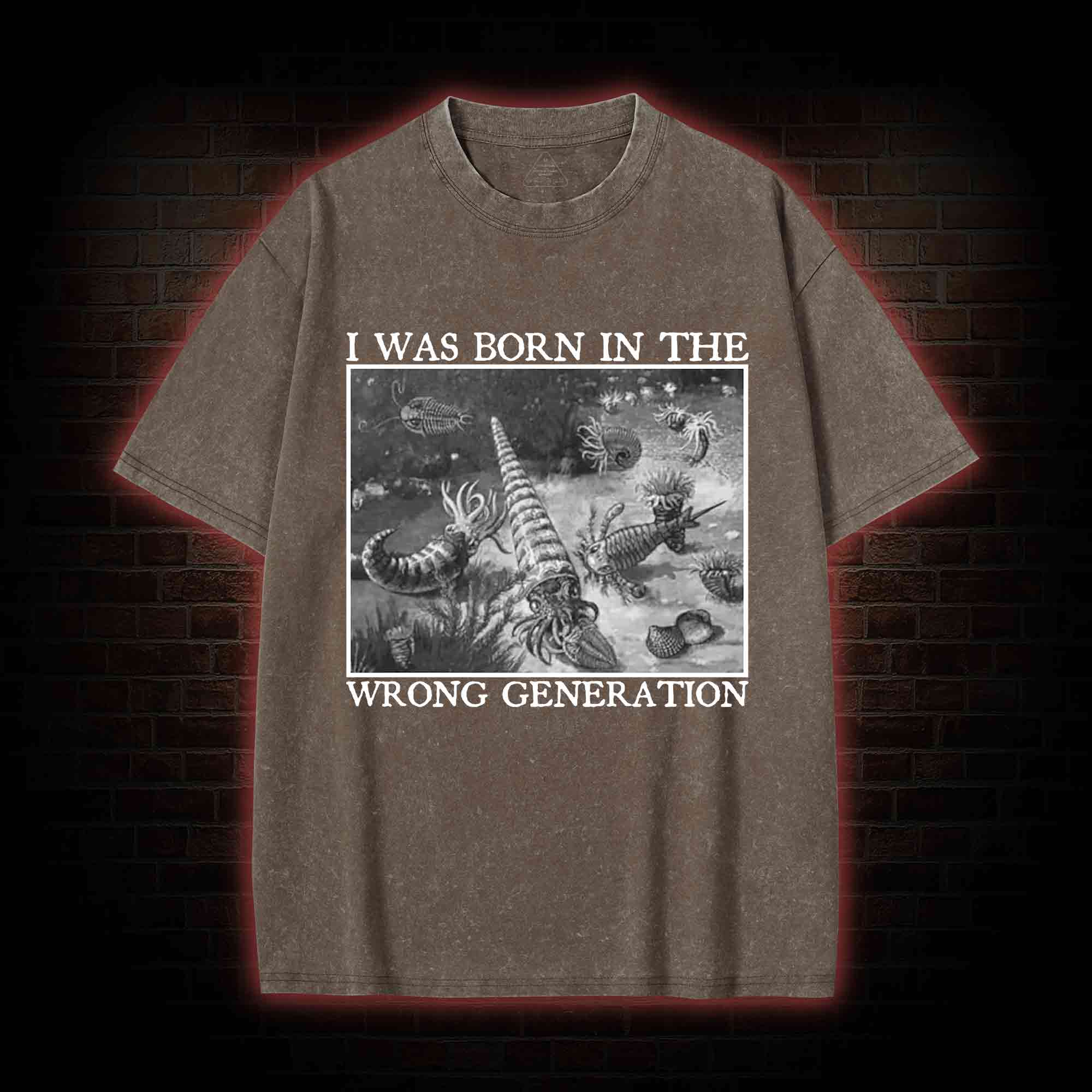 I Was Born In The Wrong Generation Washed T-shirt
