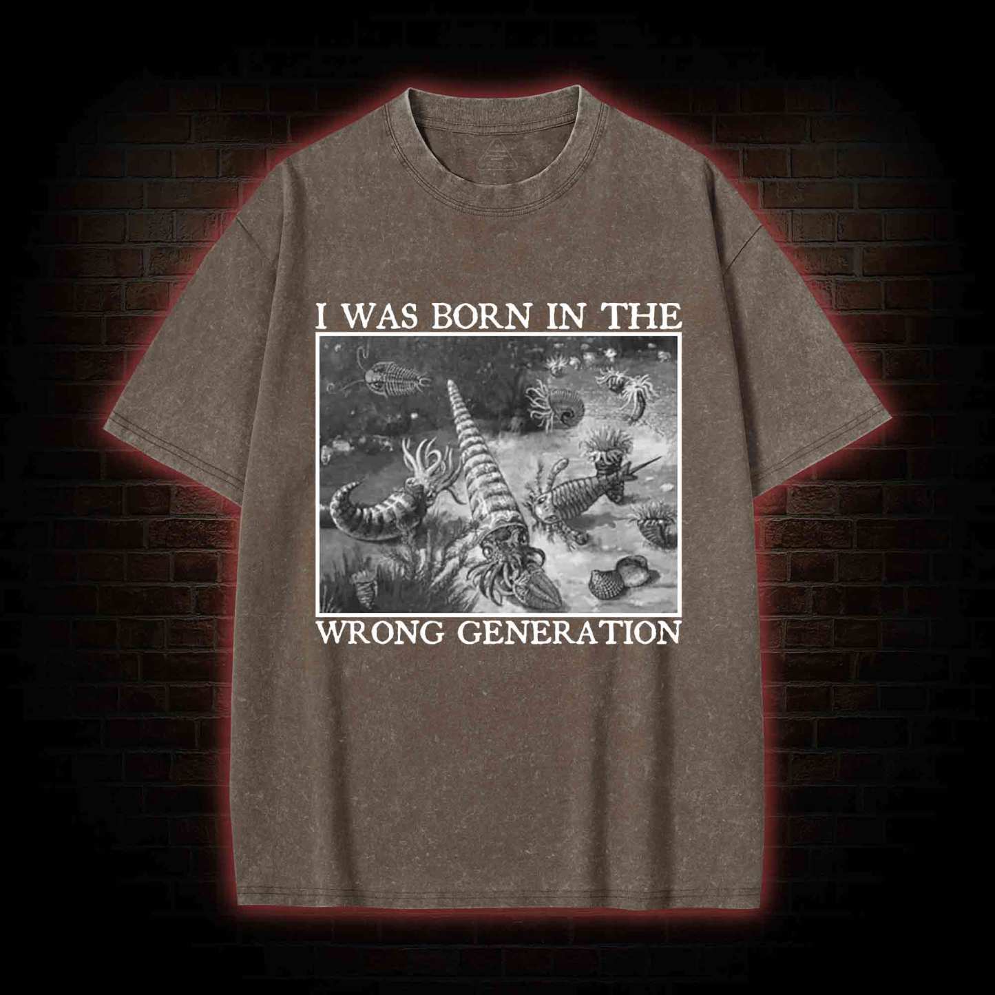 I Was Born In The Wrong Generation Washed T-shirt