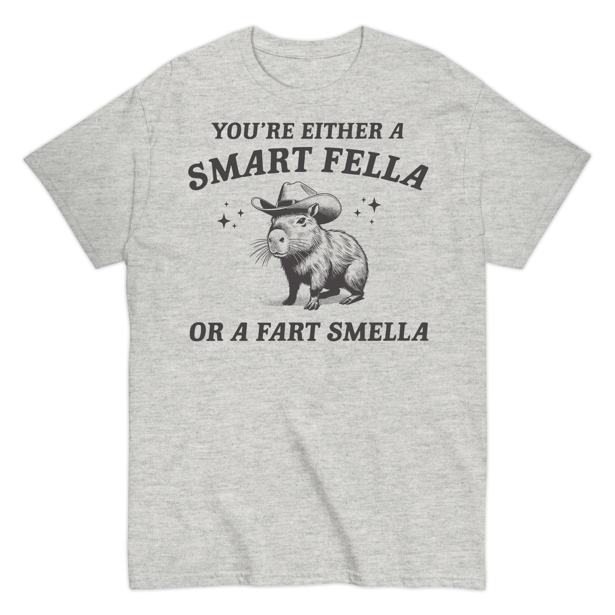 Smart Fella Or Fart Smella T-shirt