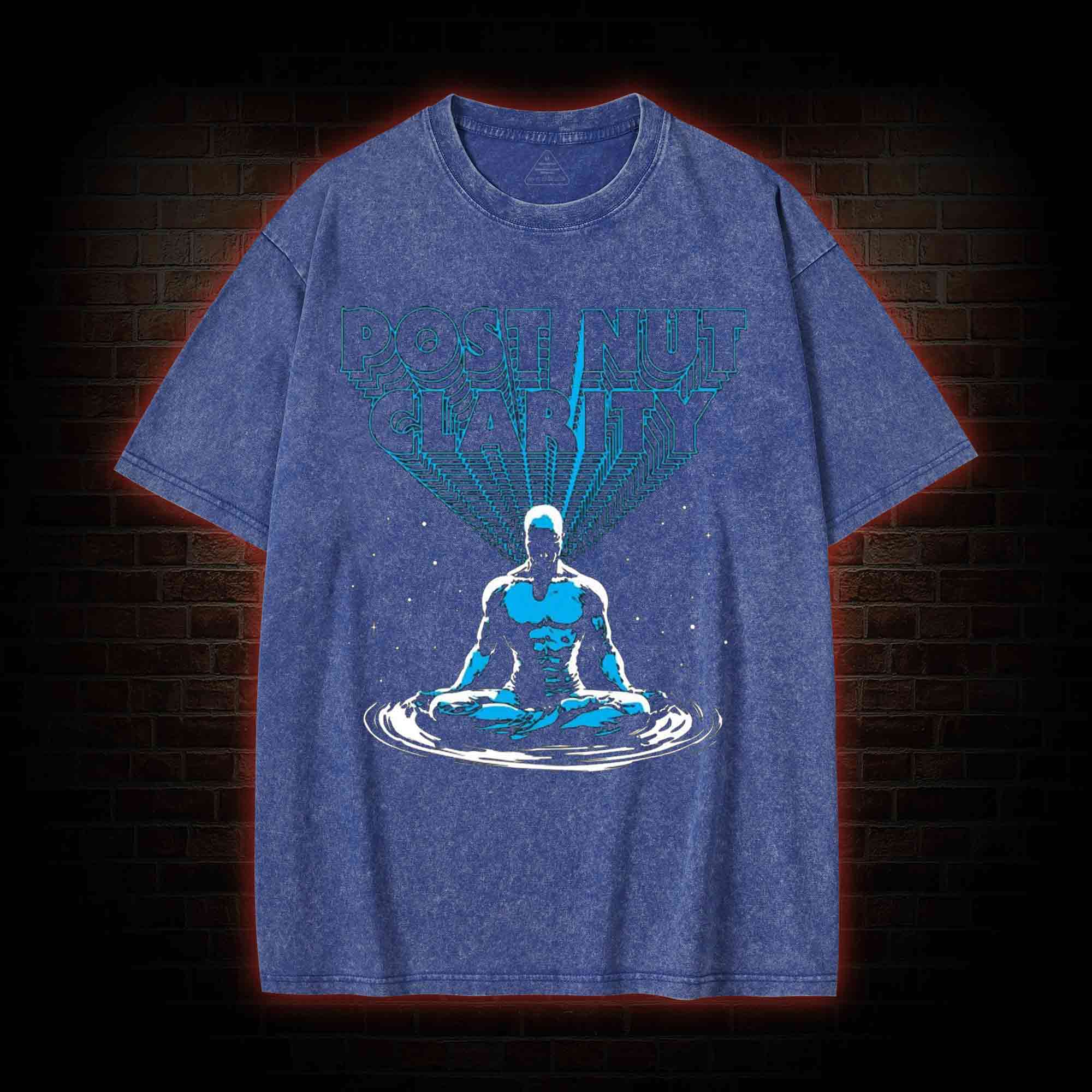 Post Nut Clarity Washed T-shirt
