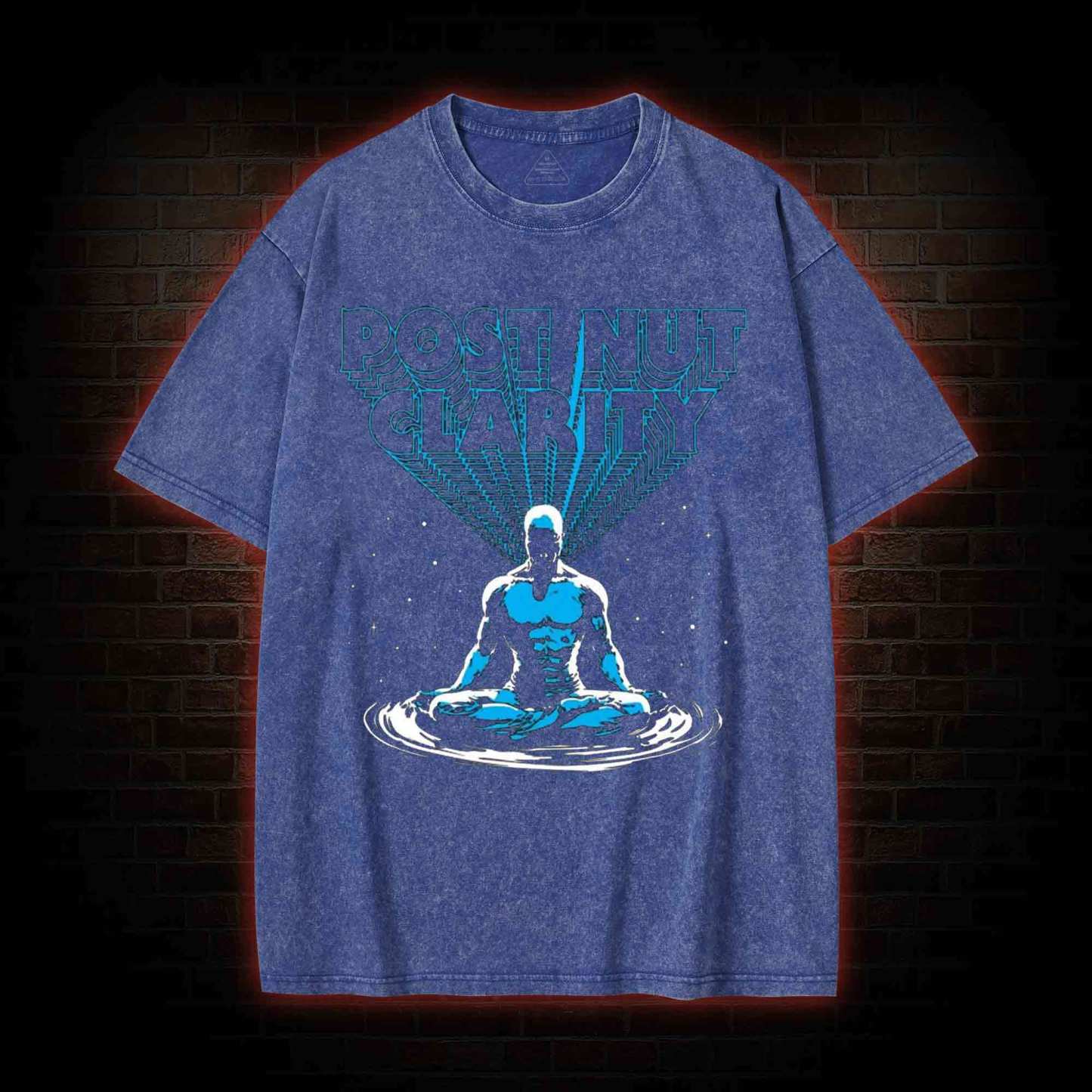 Post Nut Clarity Washed T-shirt