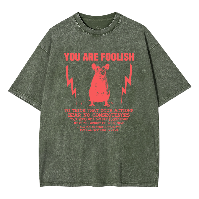 You Are Foolish Washed T-shirt