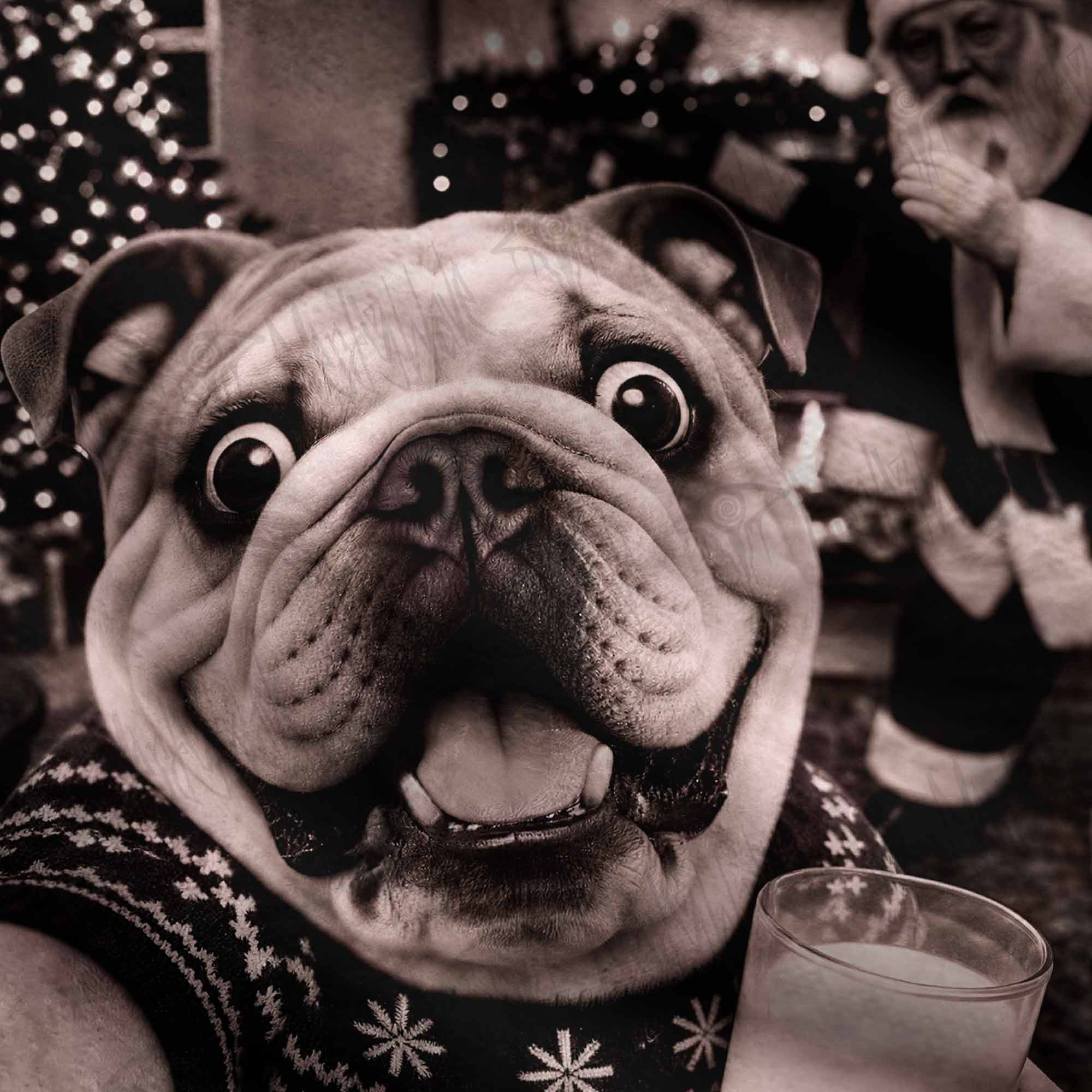 Naughty Bulldog Ugly Sweatshirts