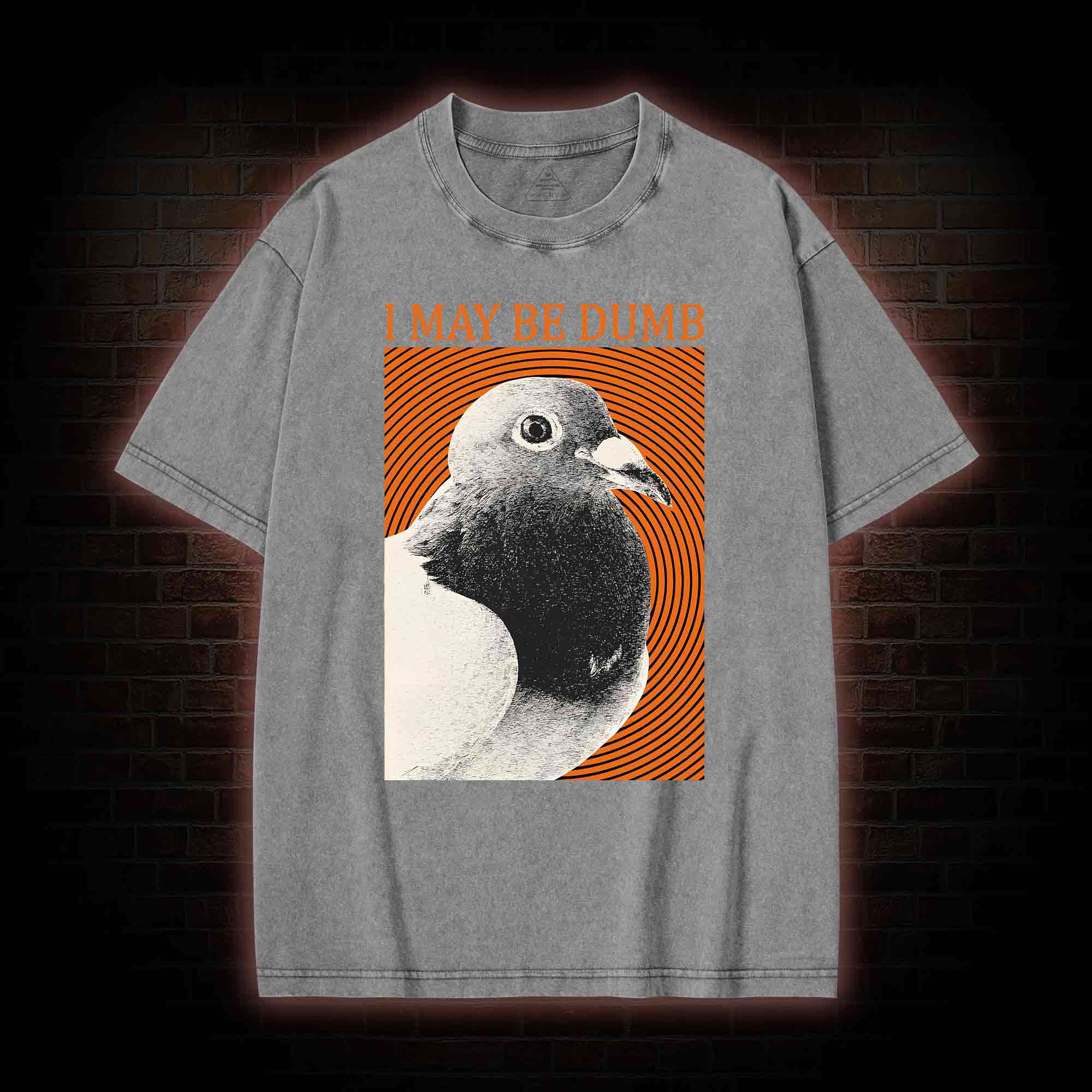 I May Be Dumb Washed T-shirt