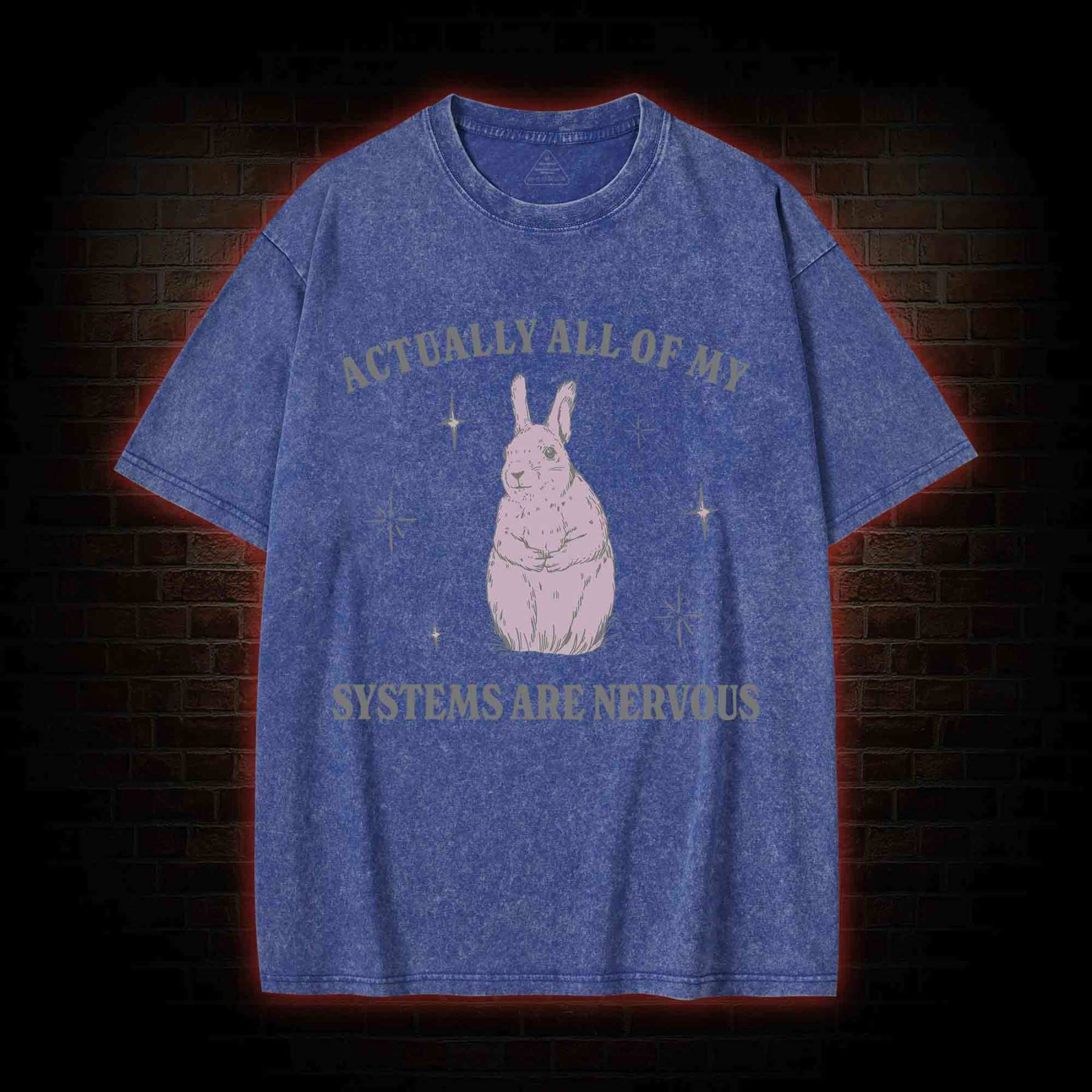 All Of My System Are Nervous Washed T-shirt