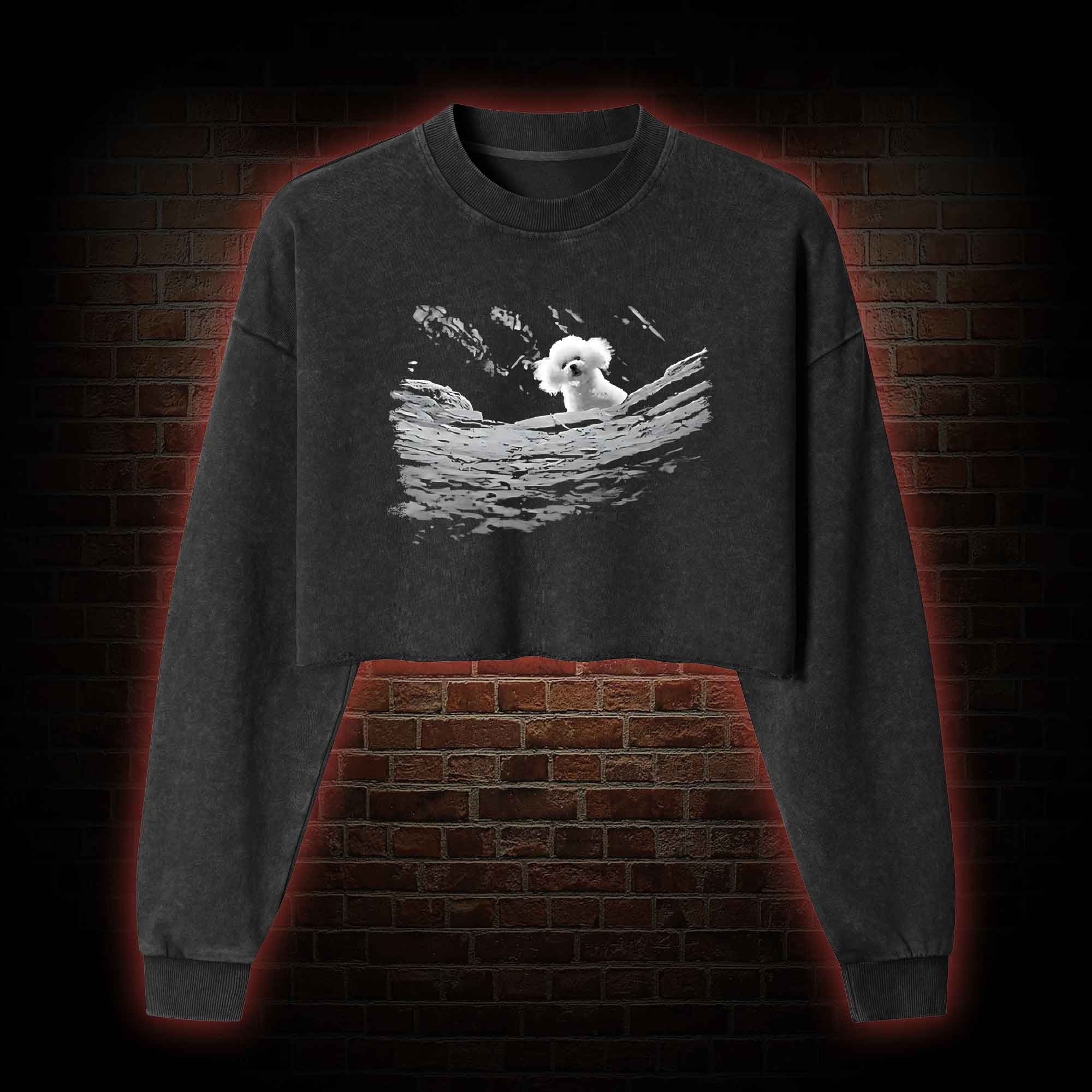 Precious Dog Washed Cropped Sweatshirts