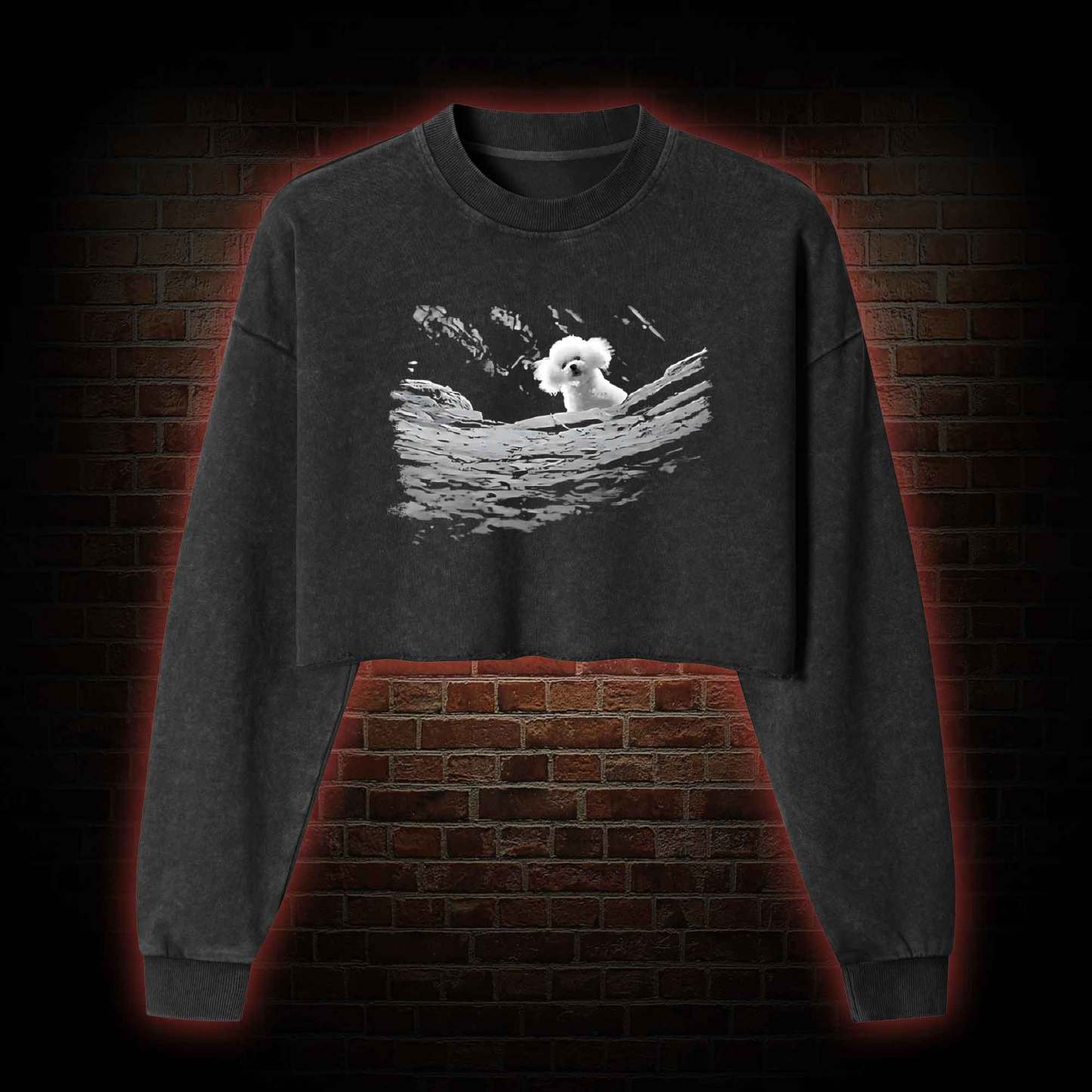 Precious Dog Washed Cropped Sweatshirts