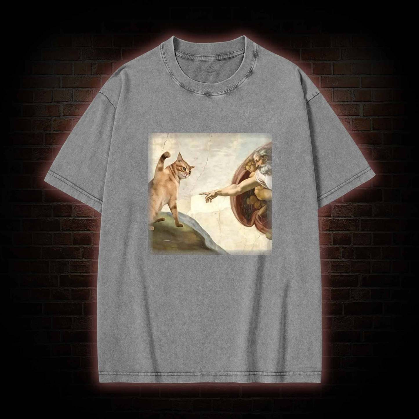 Cat God Creation of Adam Washed T-shirt