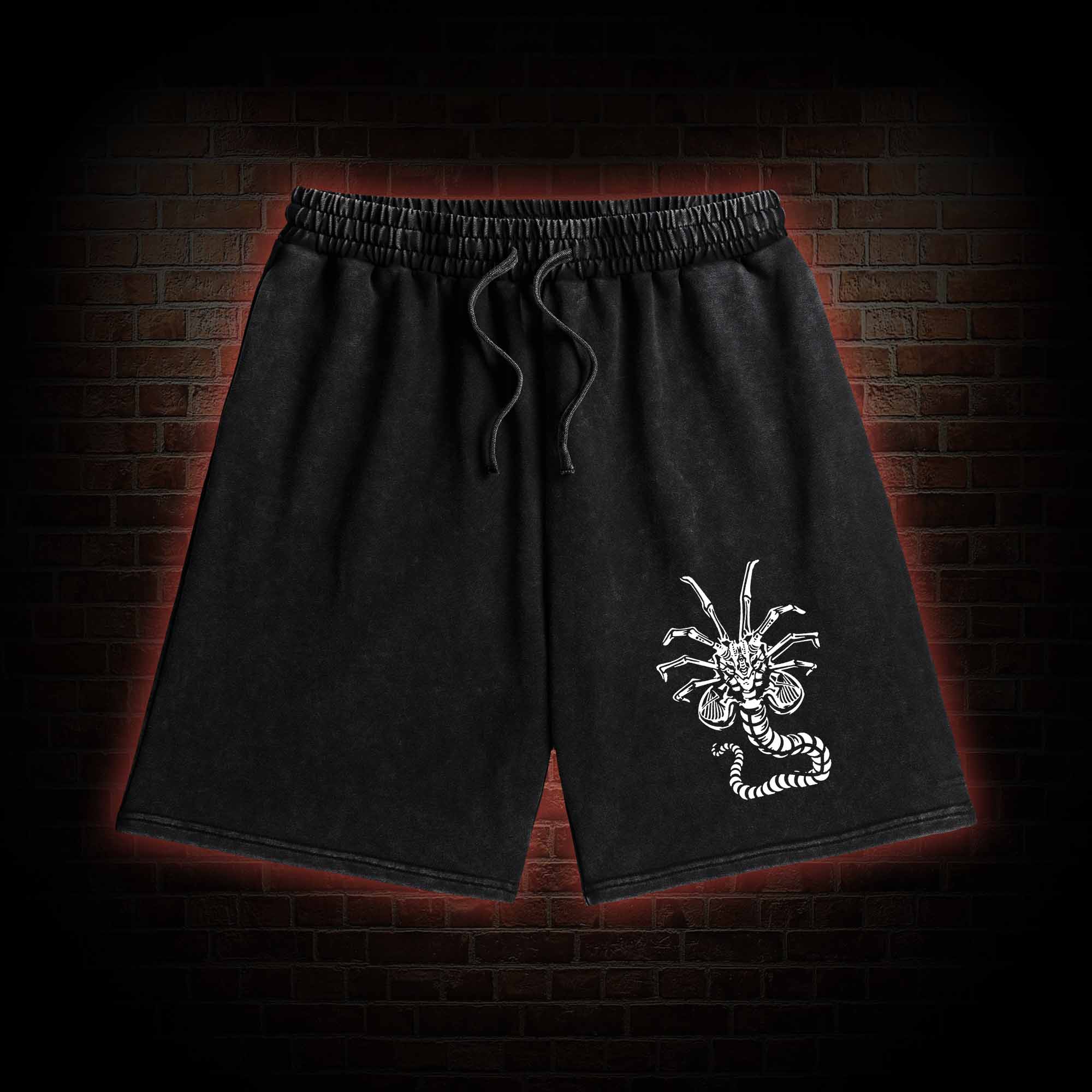 27 Washed Shorts