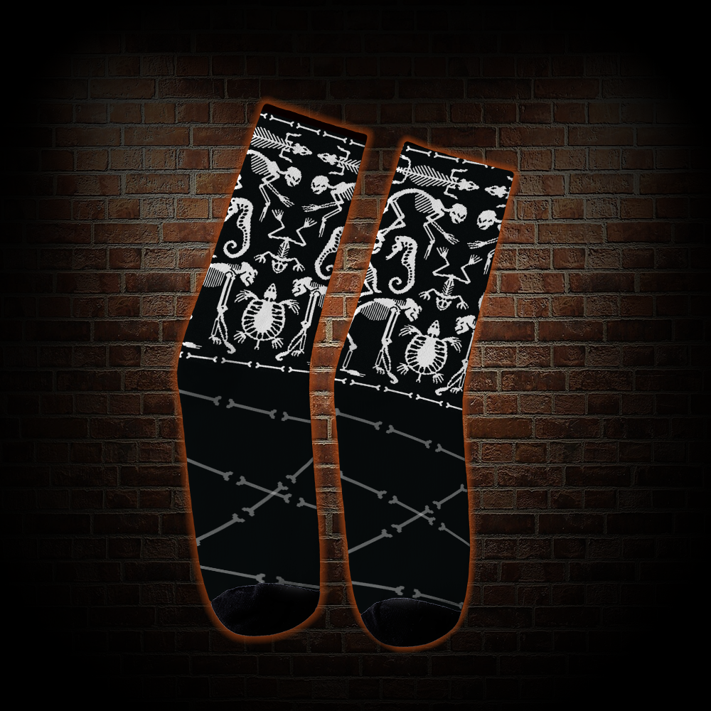 019 Socks
