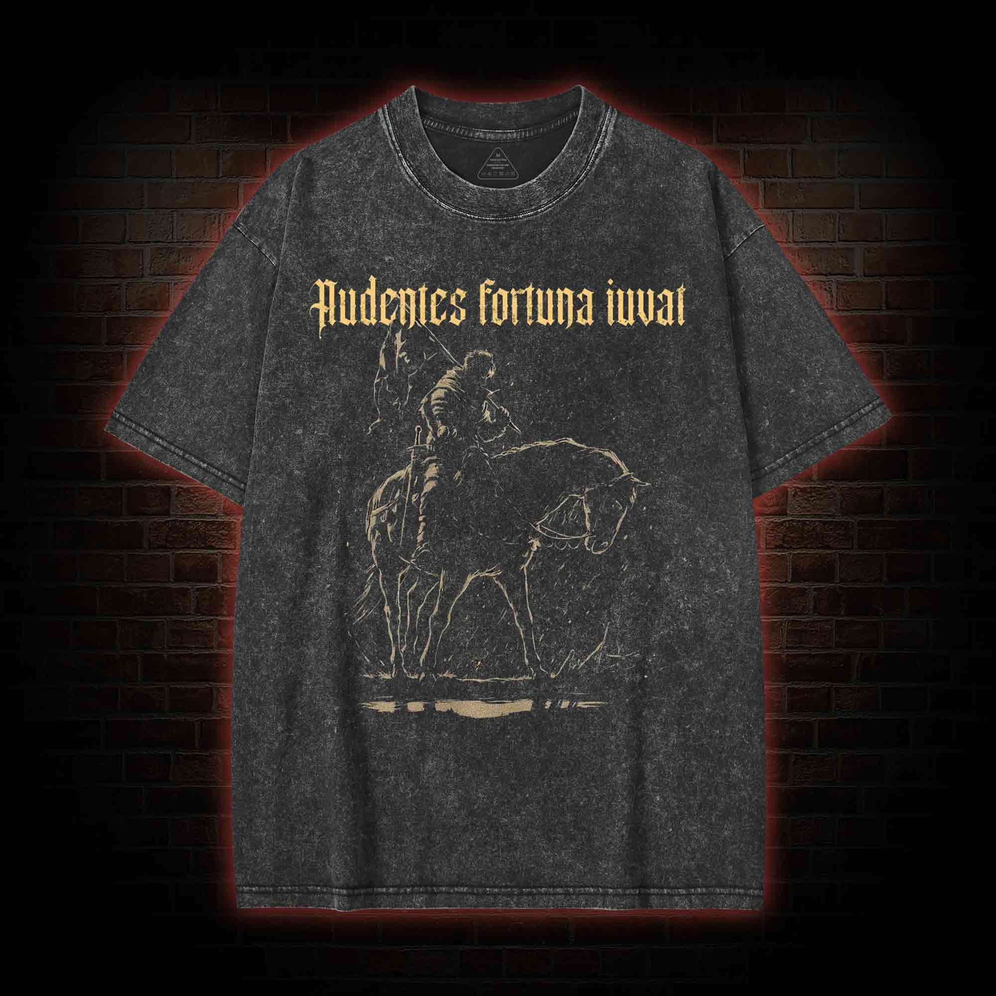 Audentes Fortuna Iuvat Washed T-shirt