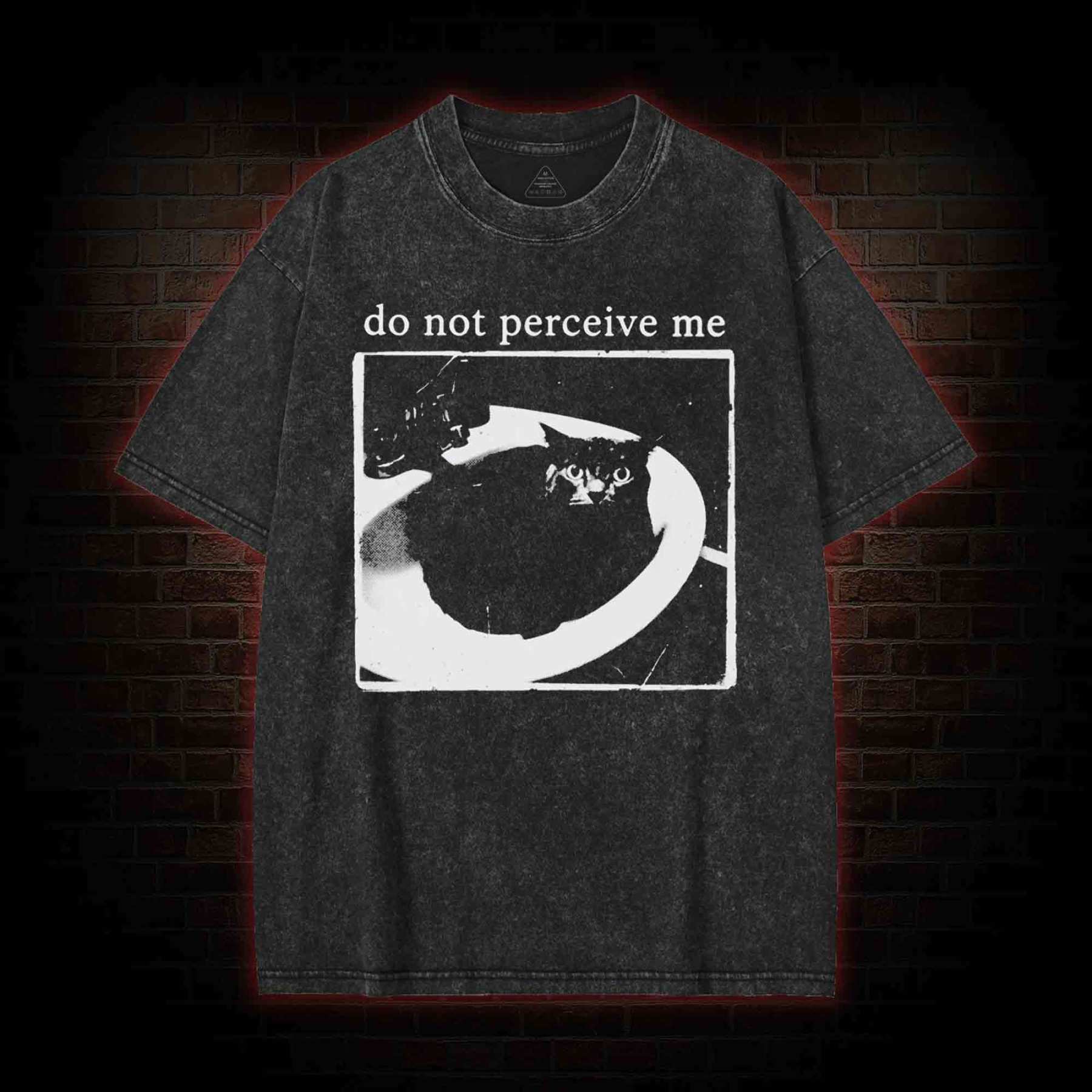 Do Not Perceive Me Washed T-shirt