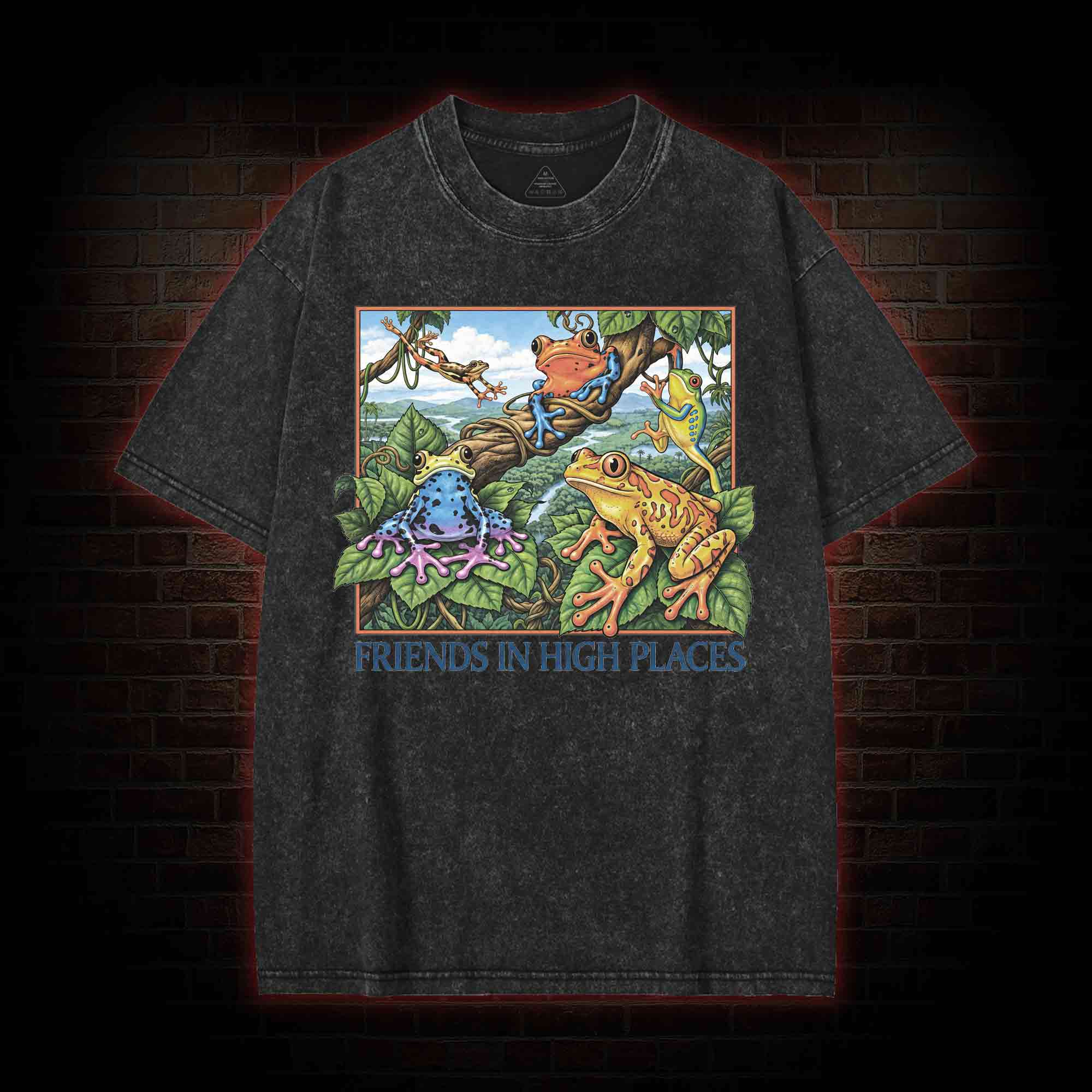 Friends in High Places Washed T-shirt
