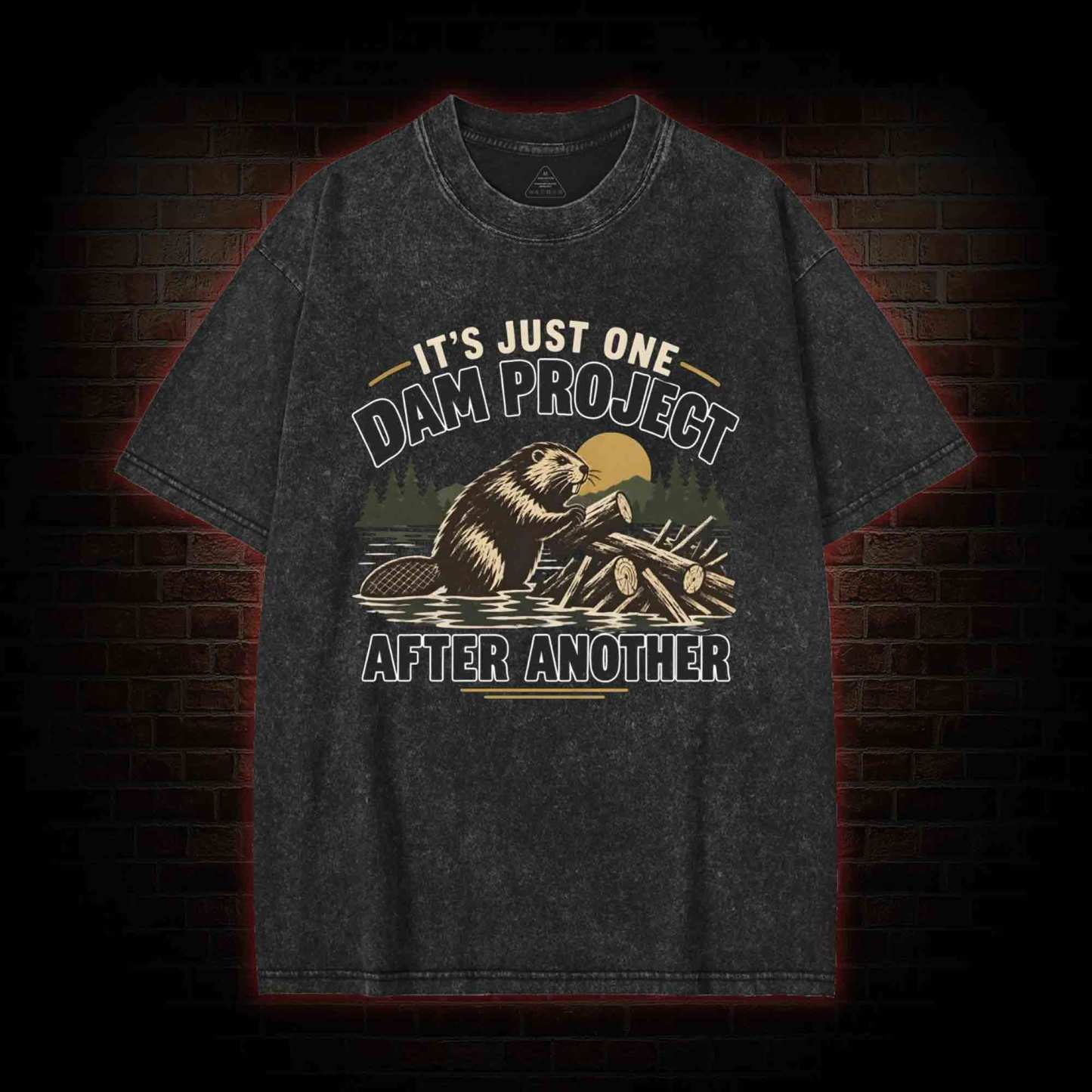 One Dam Project After Another Washed T-shirt