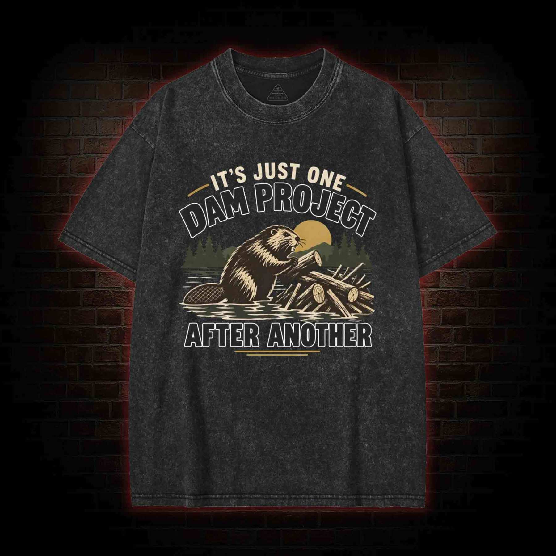 One Dam Project After Another Washed T-shirt