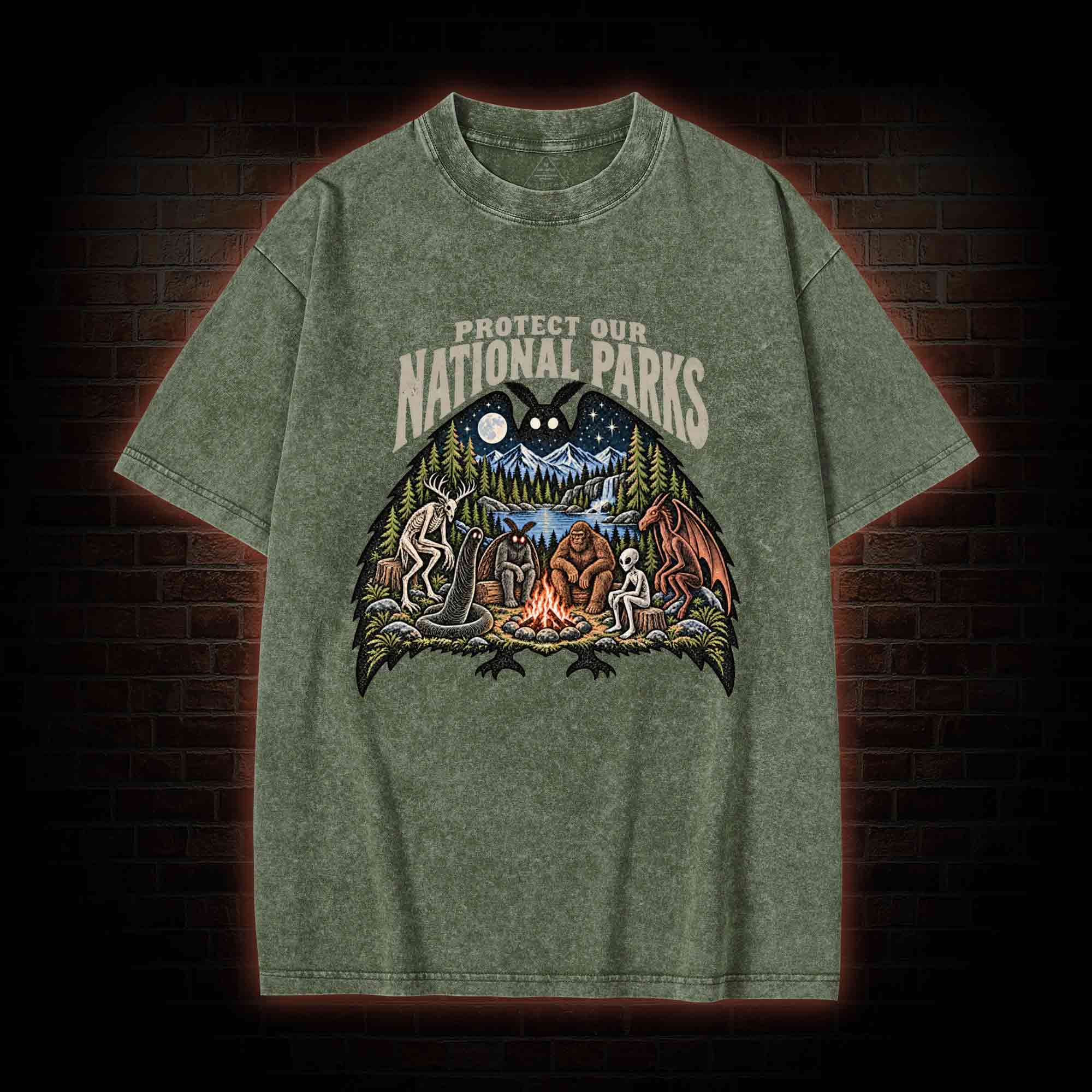 Protect Our National Parks Washed T-shirt