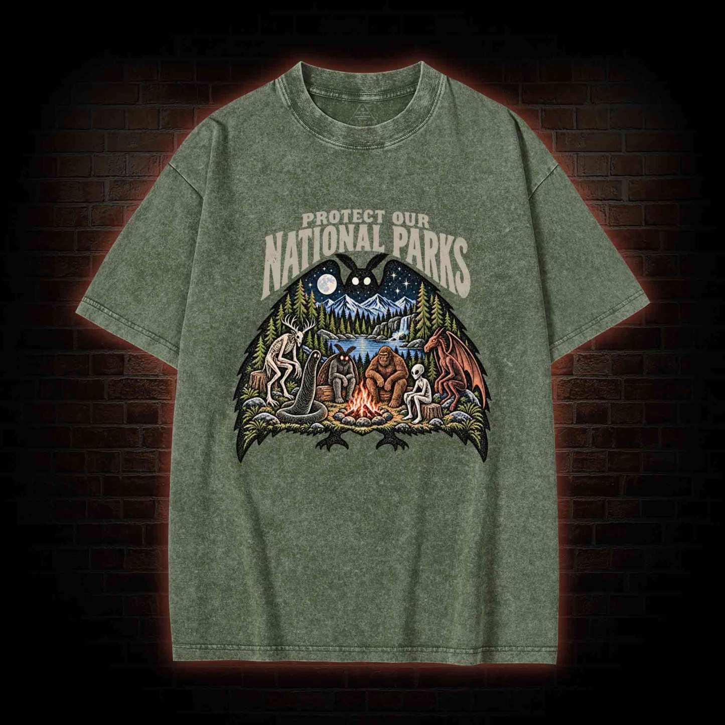 Protect Our National Parks Washed T-shirt