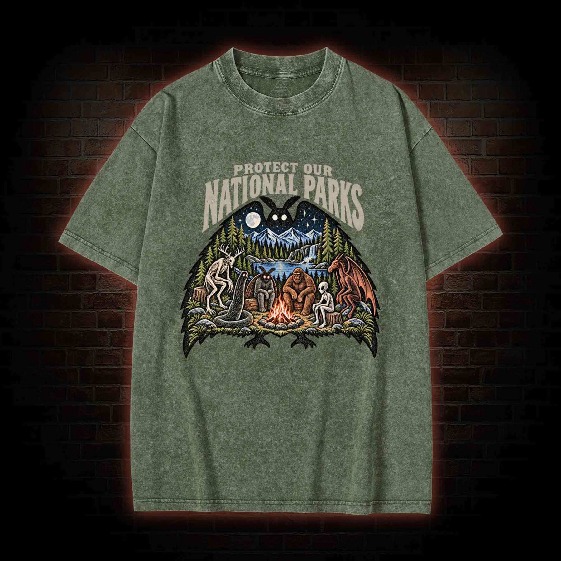 Protect Our National Parks Washed T-shirt