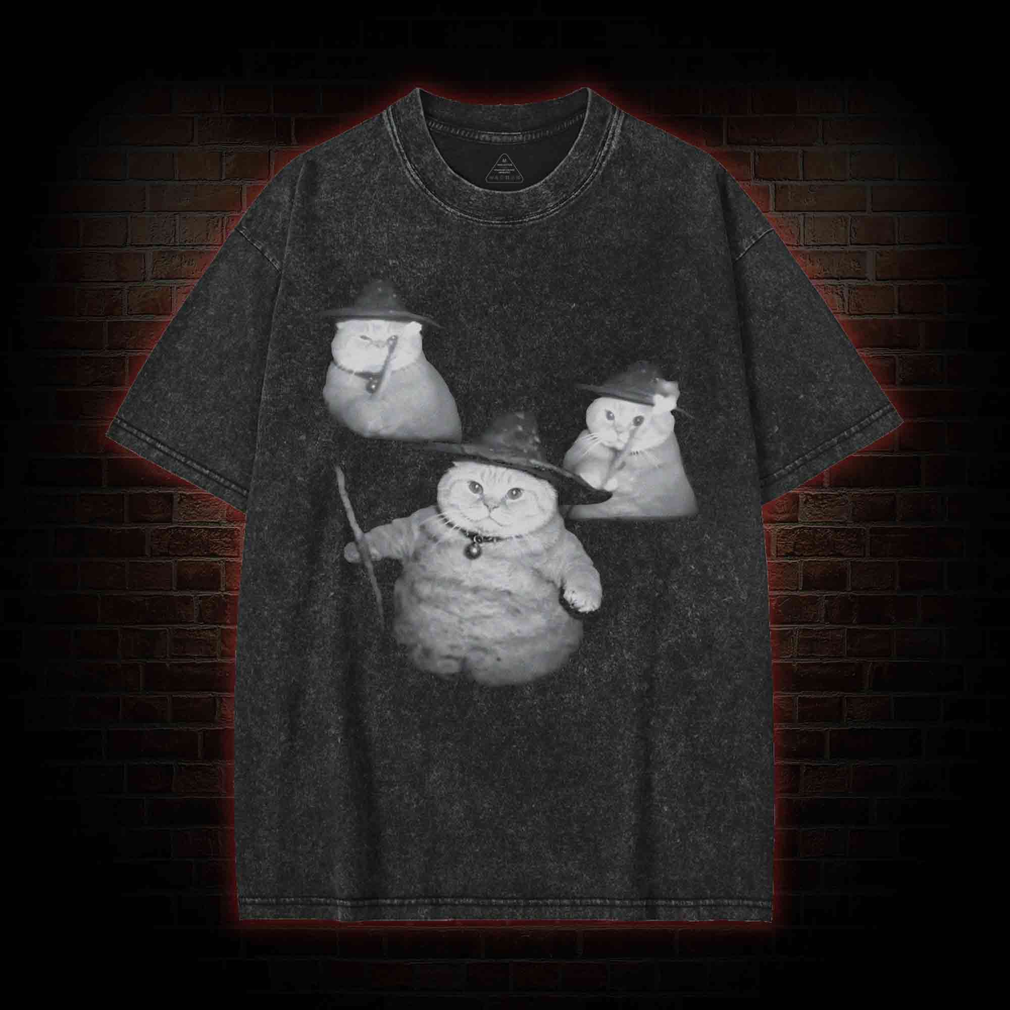 Wizard Kitten Washed T-shirt