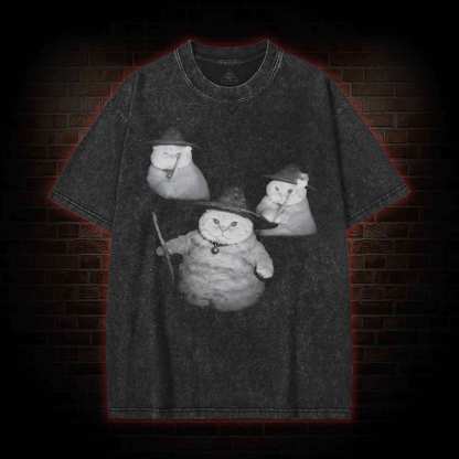 Wizard Kitten Washed T-shirt