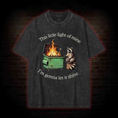 Dumpster Fire Raccoon Washed T-shirt