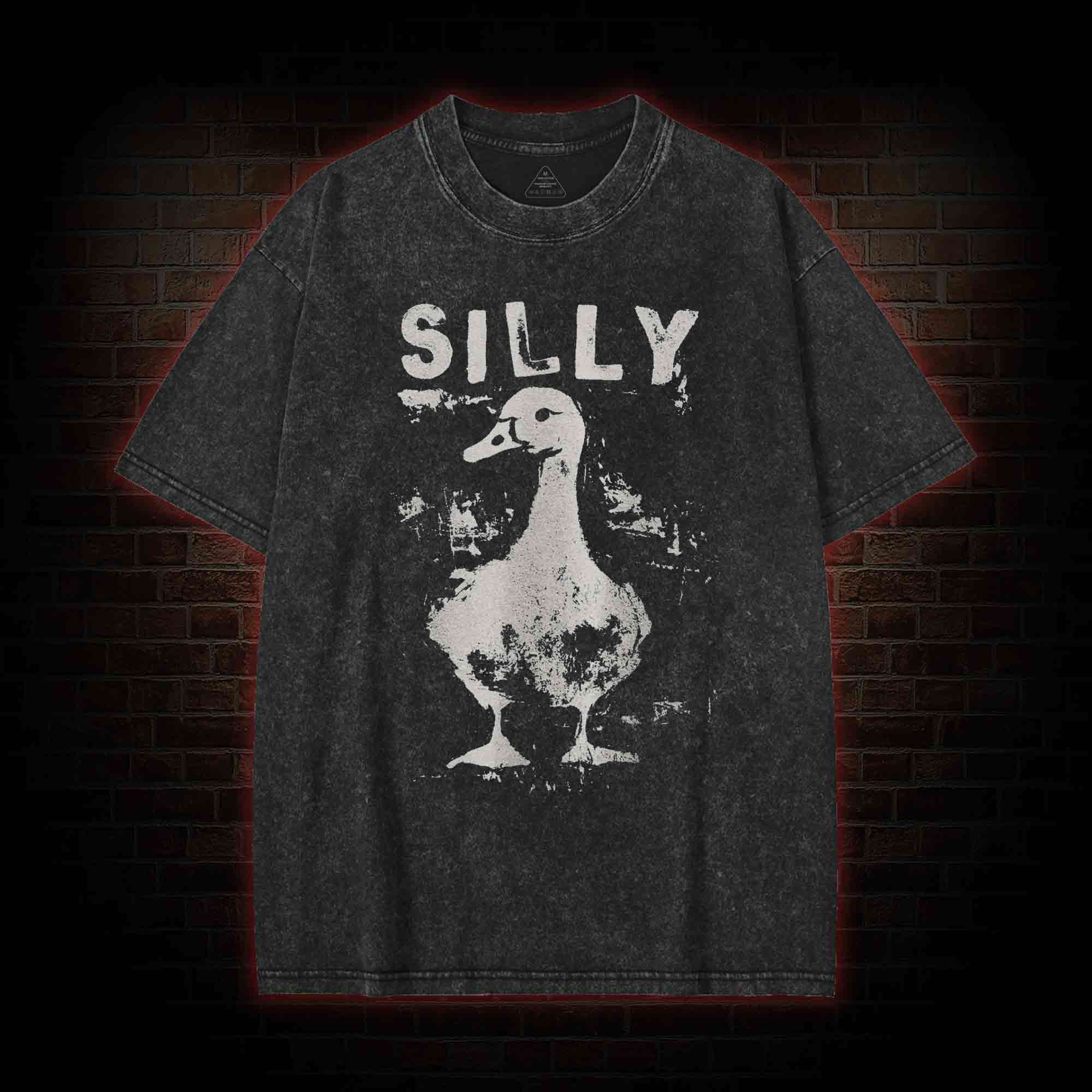 Silly Goose Washed T-shirt