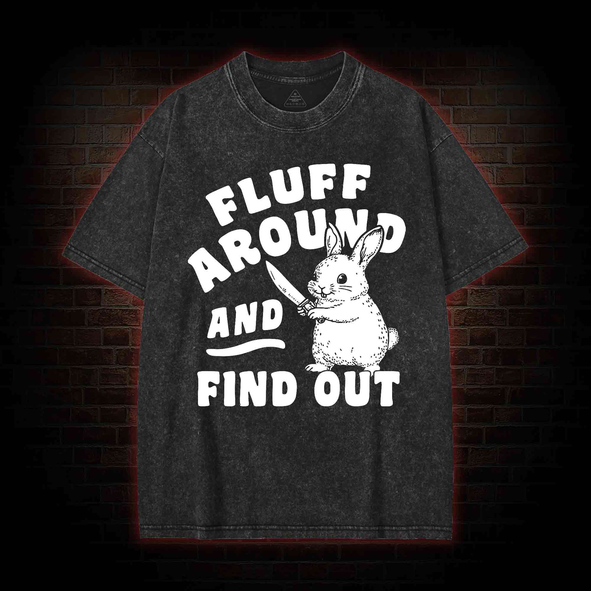 Fluff Around and Find Out Washed T-shirt