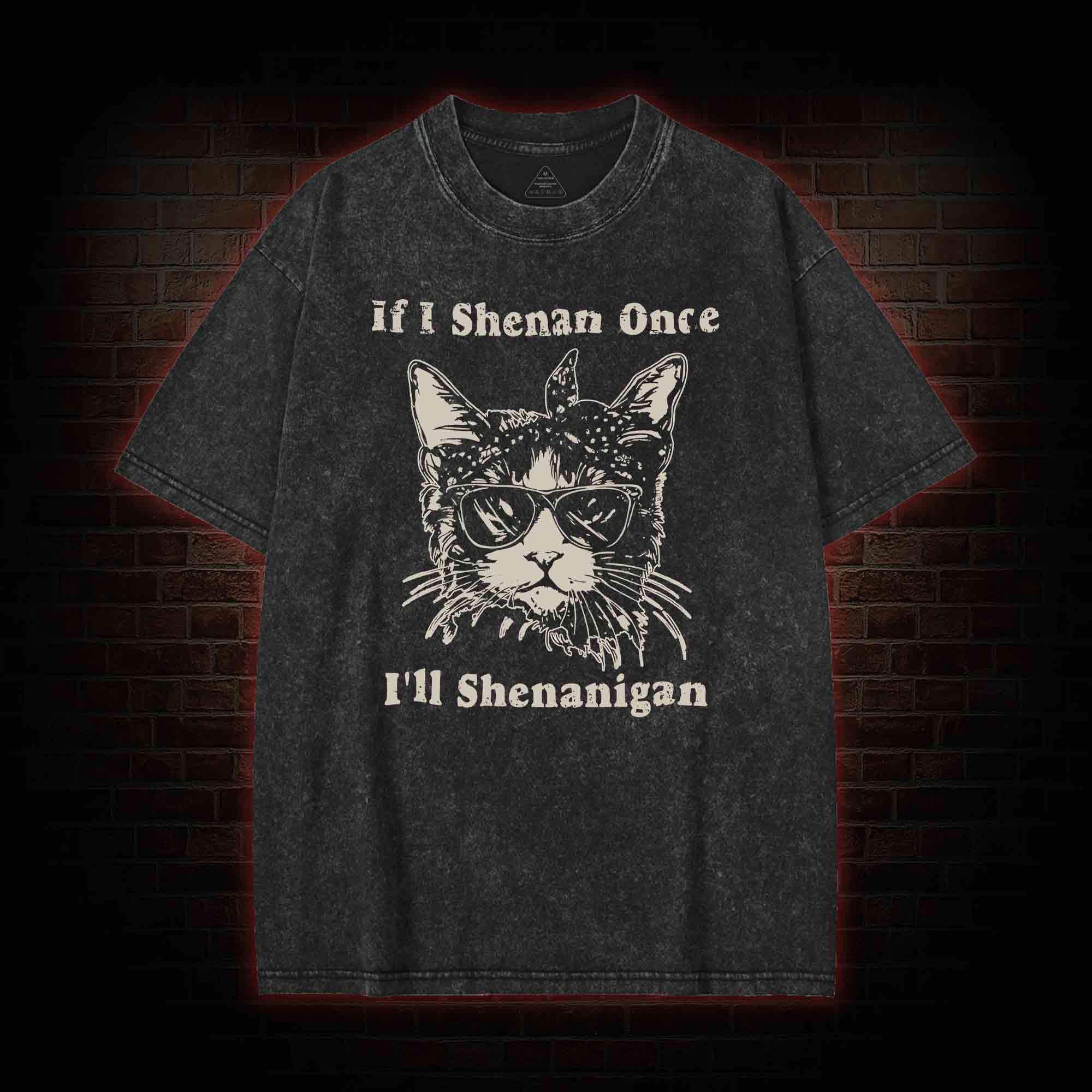 If I Shenan Once I'll Shenanigan Washed T-shirt