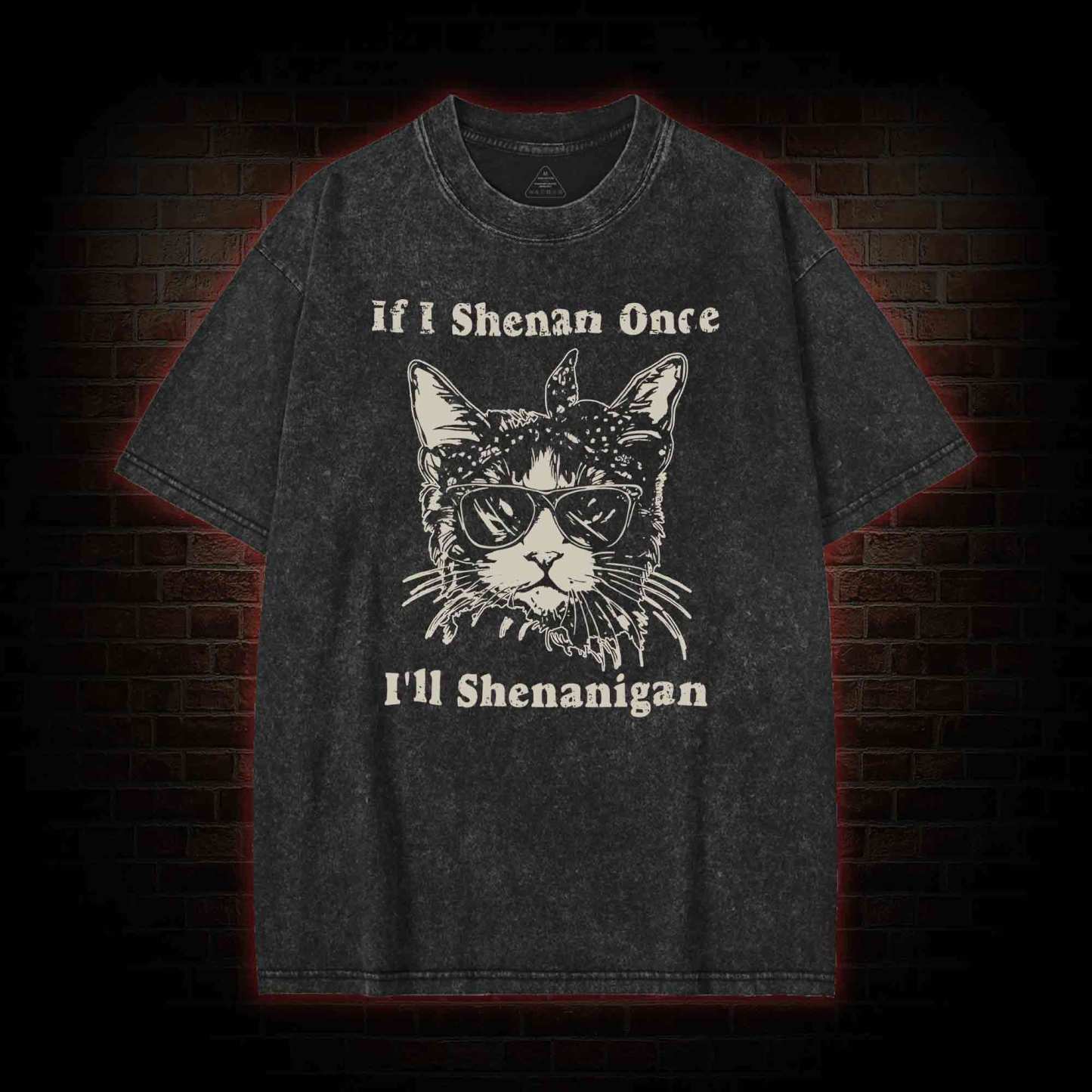 If I Shenan Once I'll Shenanigan Washed T-shirt